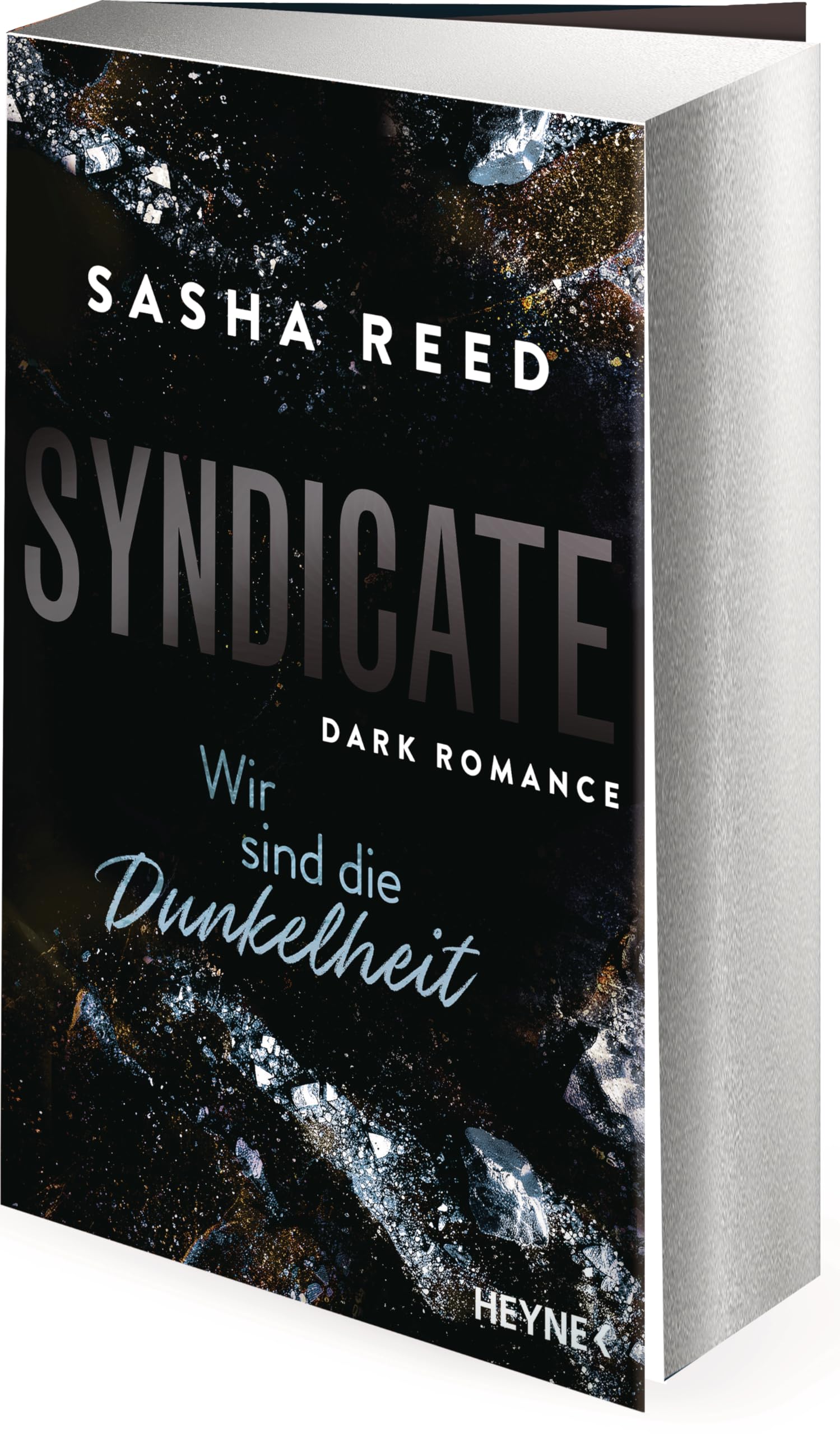 Syndicate - Wir sind die Dunkelheit Contemporary literature