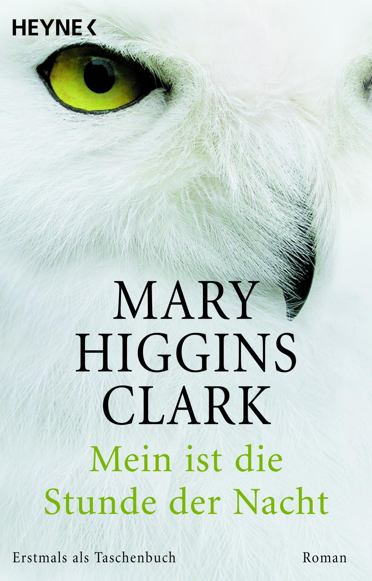 Mein ist die Stunde der Nacht Contemporary literature