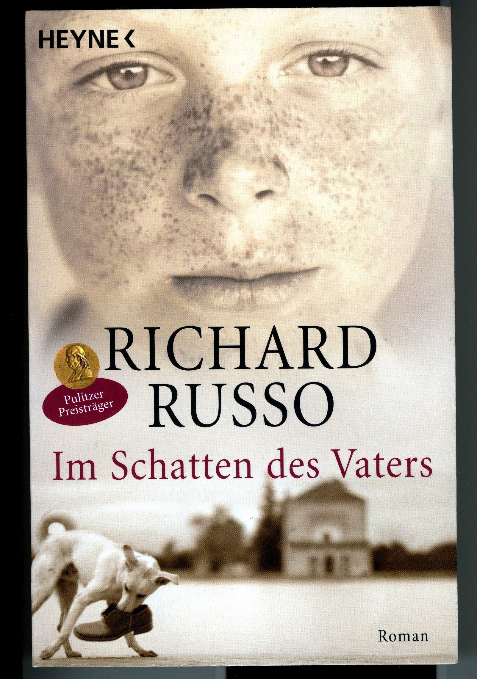 Product Image: Im Schatten des Vaters: Roman