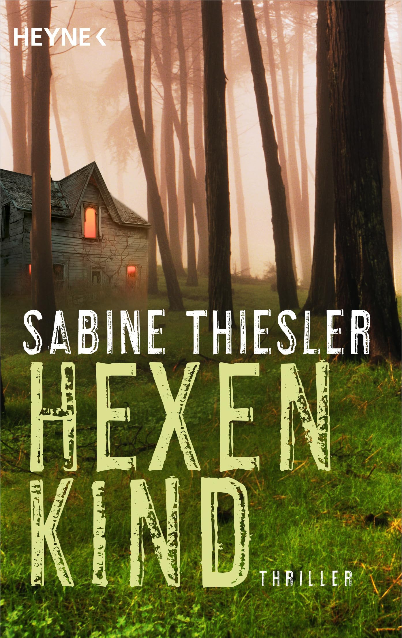 Hexenkind Contemporary literature Books