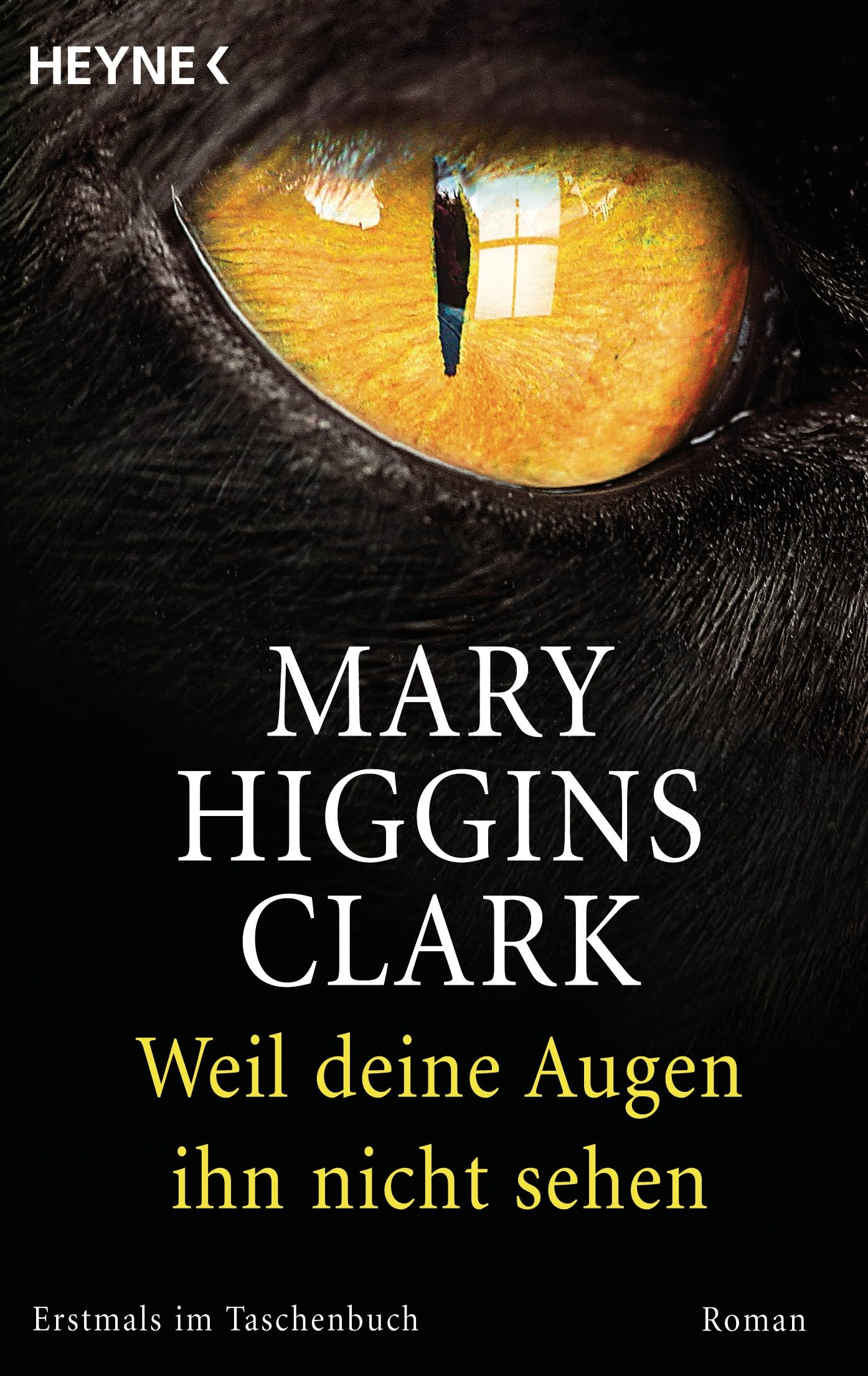 Weil deine Augen ihn nicht sehen: Roman Contemporary literature