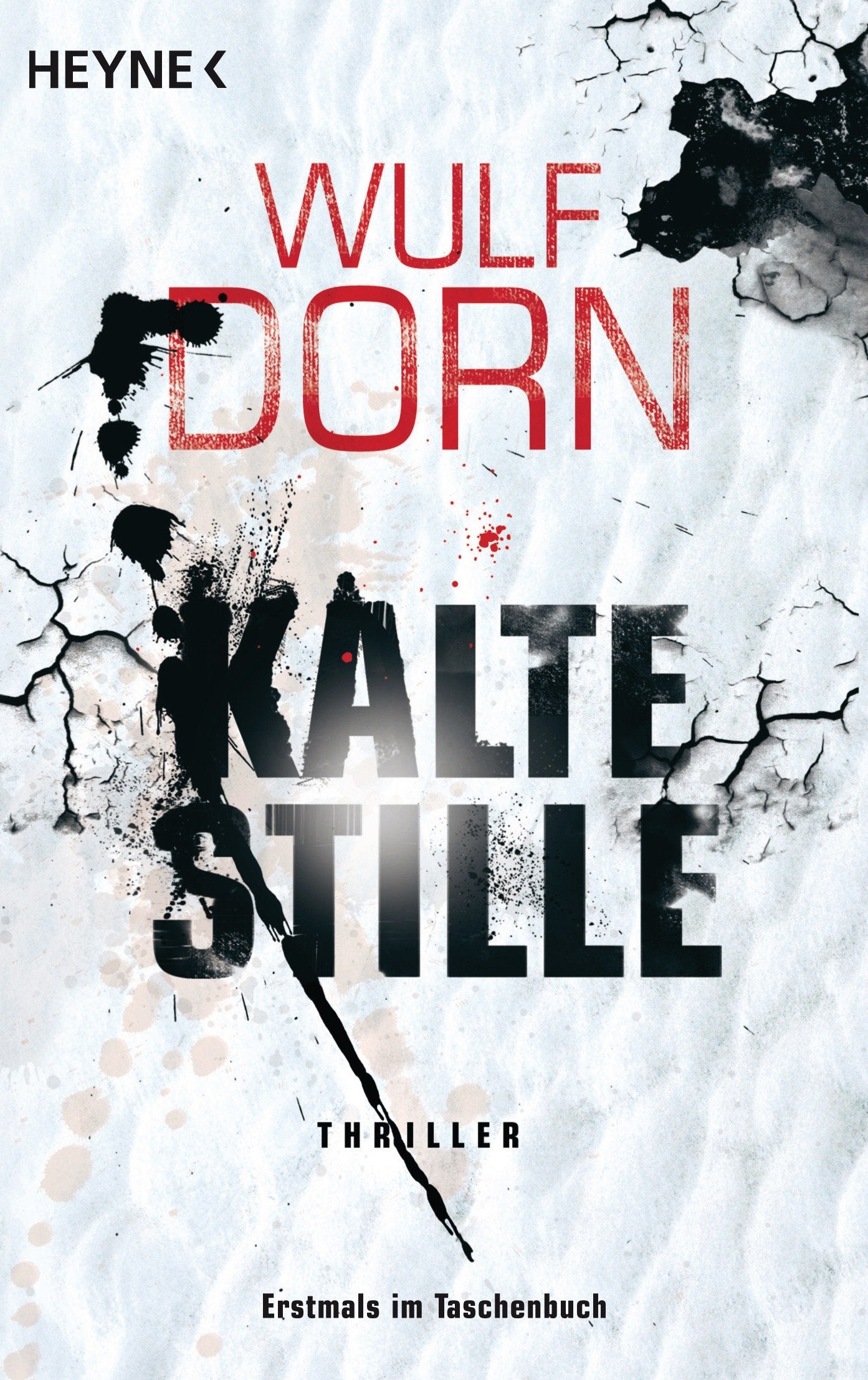 Kalte Stille Contemporary literature Books