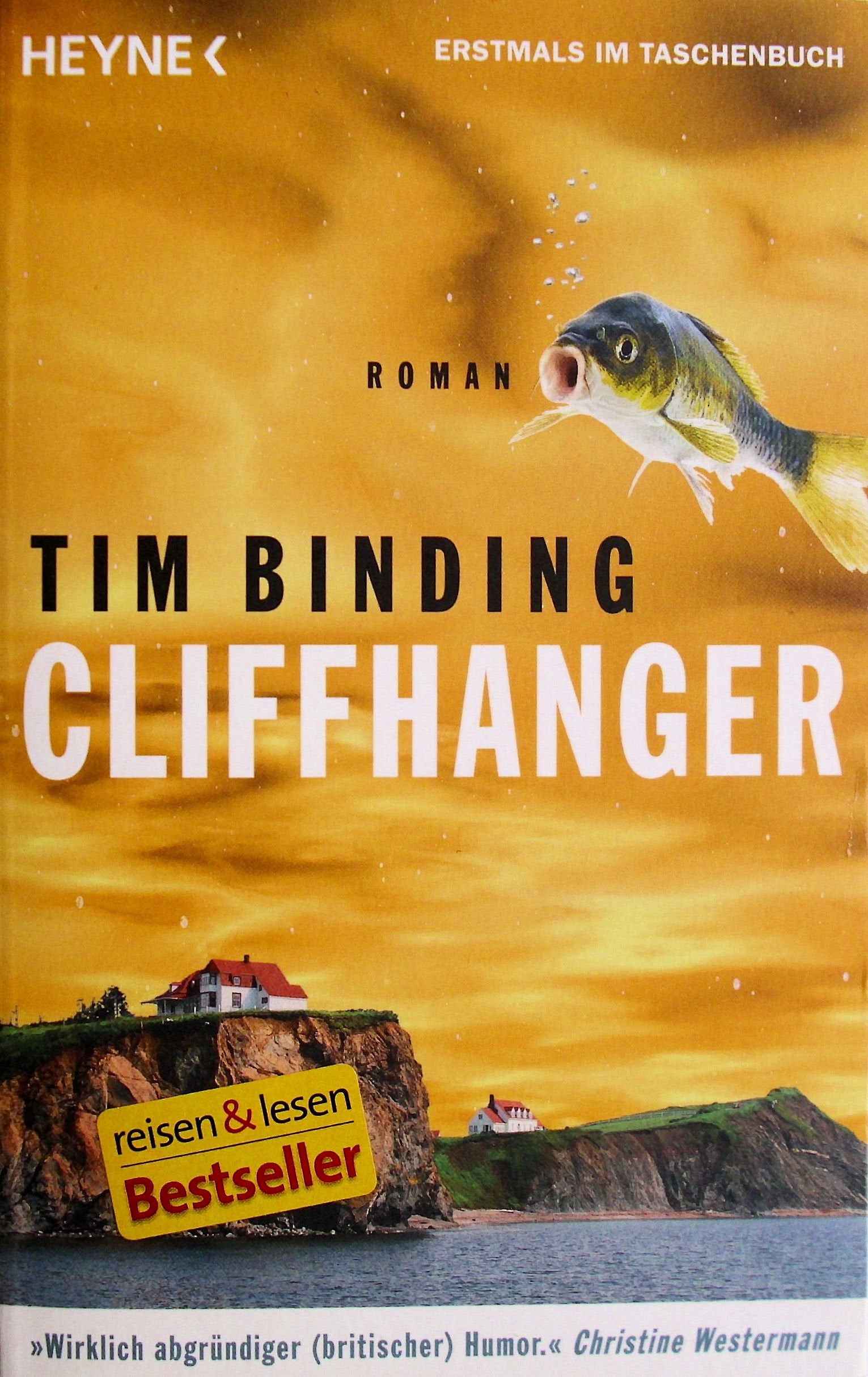 Cliffhanger Contemporary literature Books