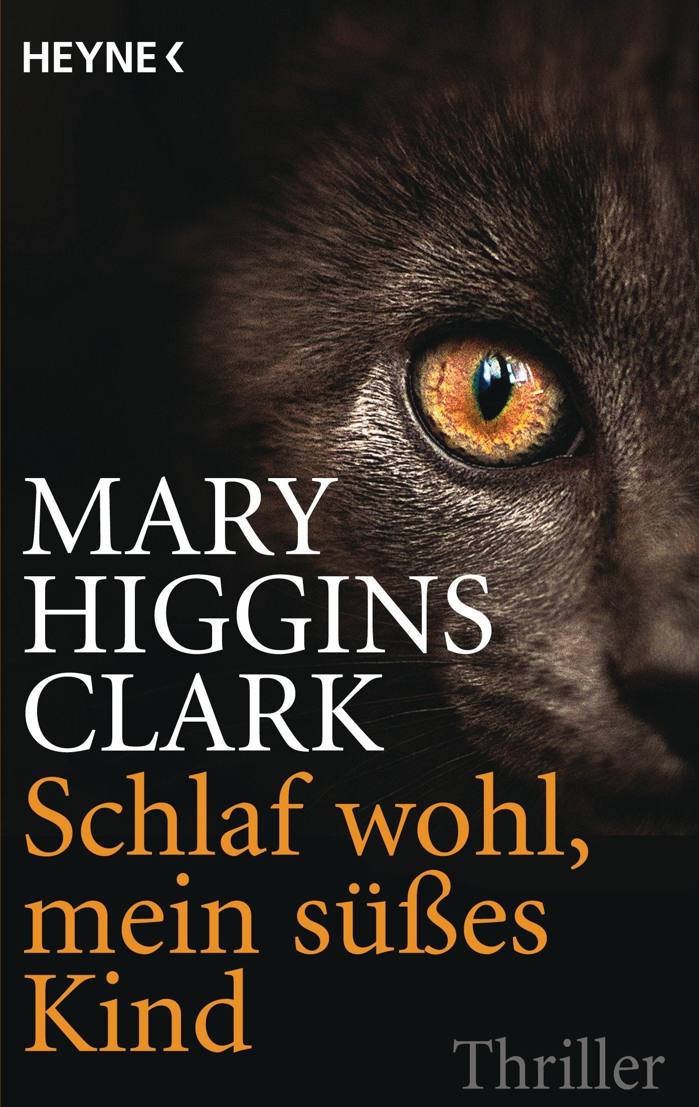 Schlaf wohl, mein süßes Kind Contemporary literature