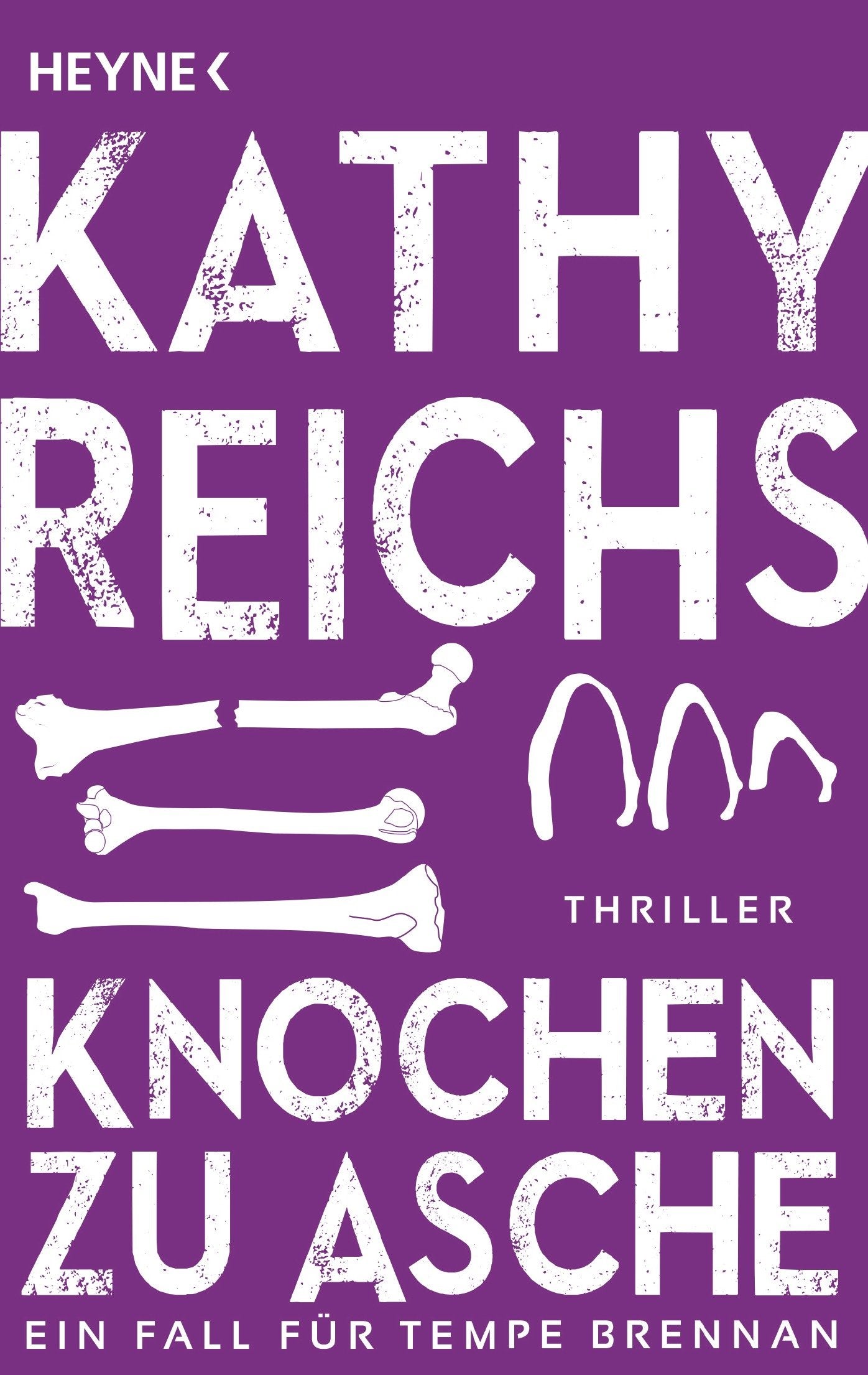 Knochen zu Asche Contemporary literature Books
