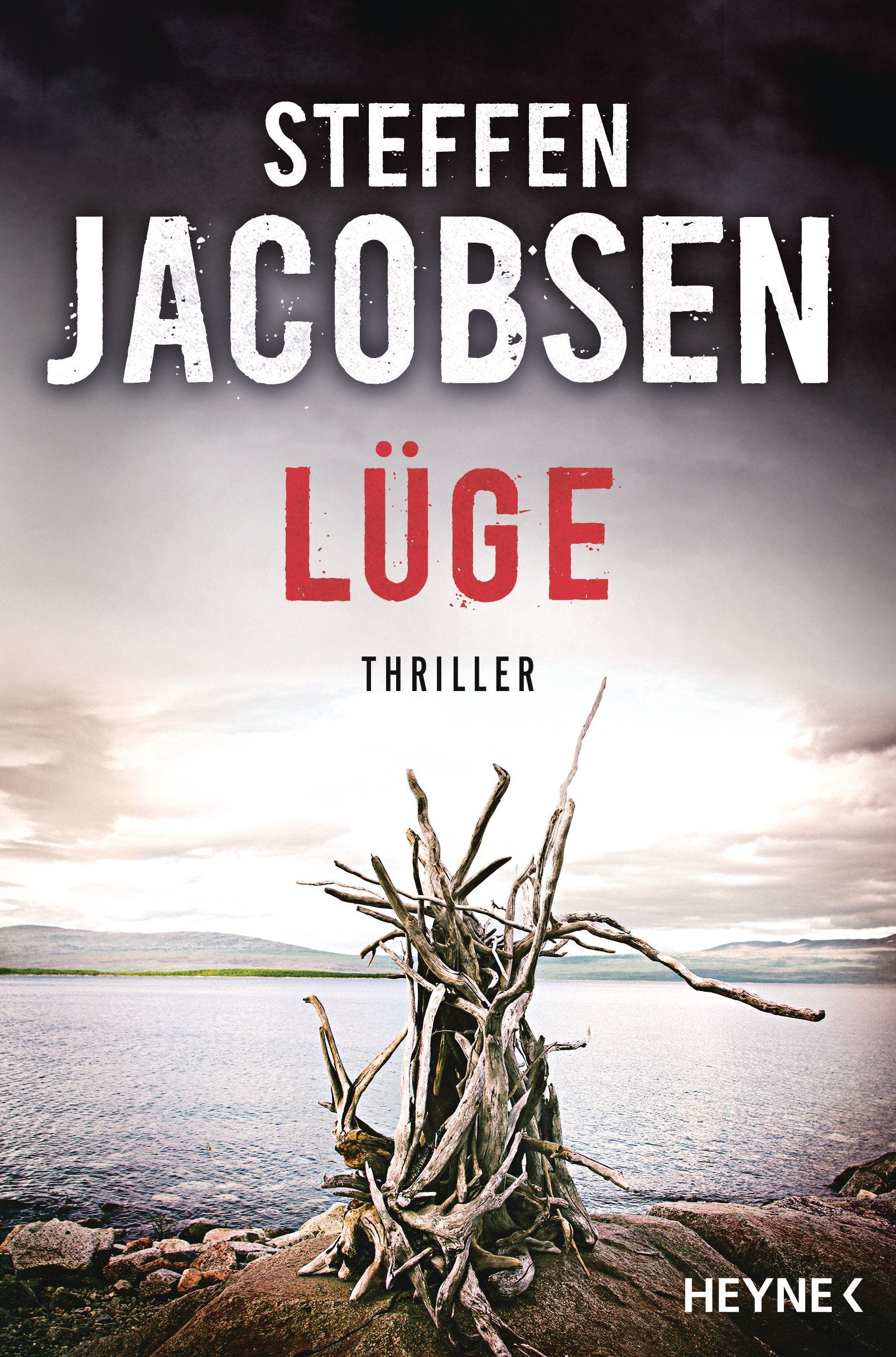 Lüge Contemporary literature Books