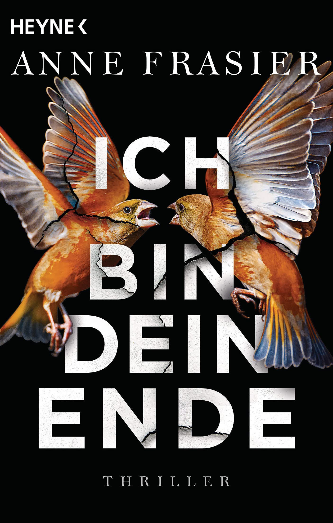 Ich bin dein Ende Contemporary literature Books