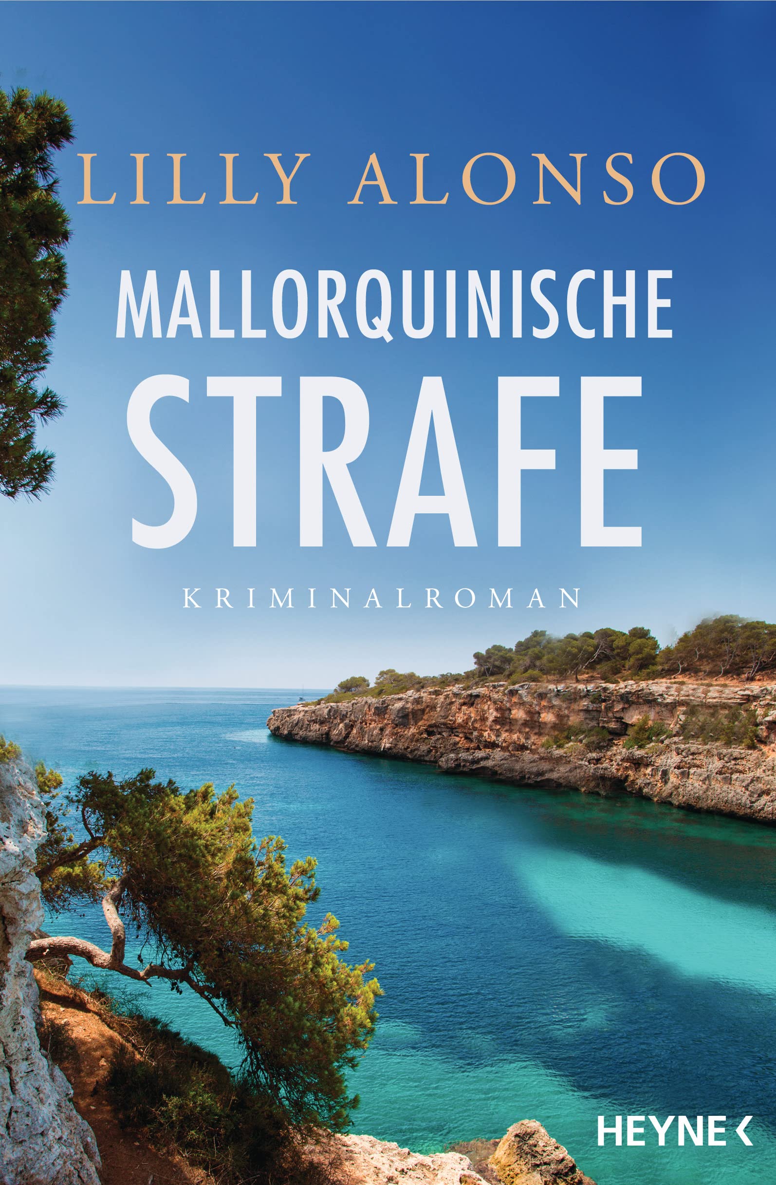 Mallorquinische Strafe Contemporary literature Books