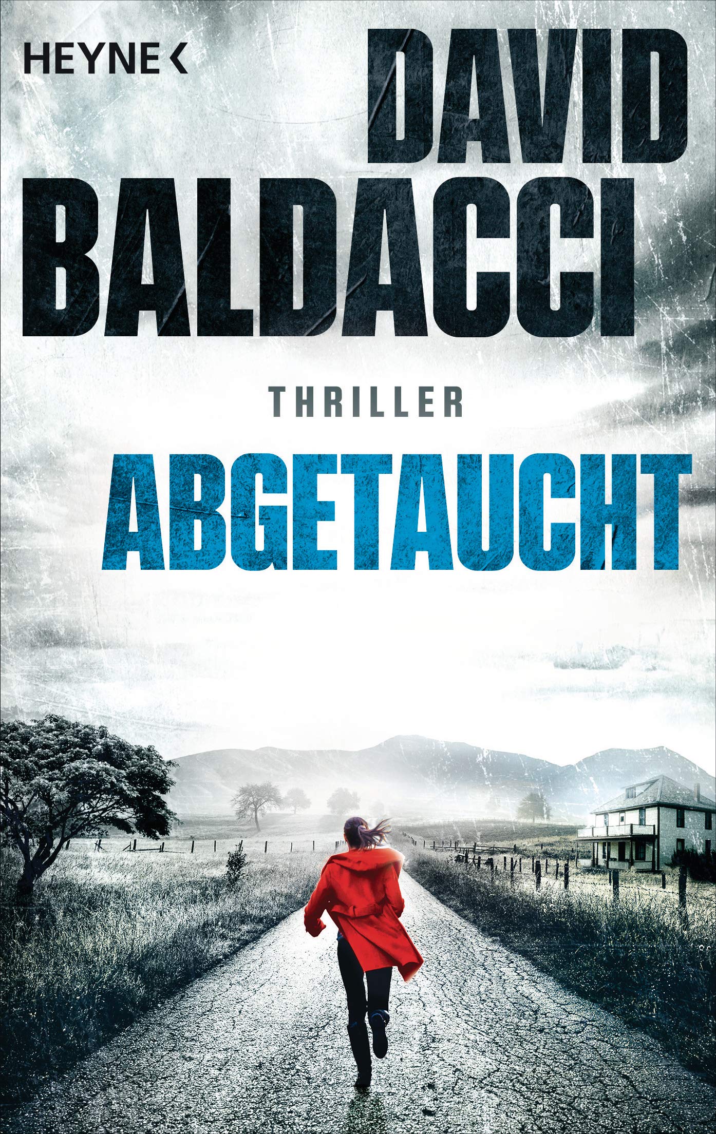Abgetaucht Contemporary literature Books