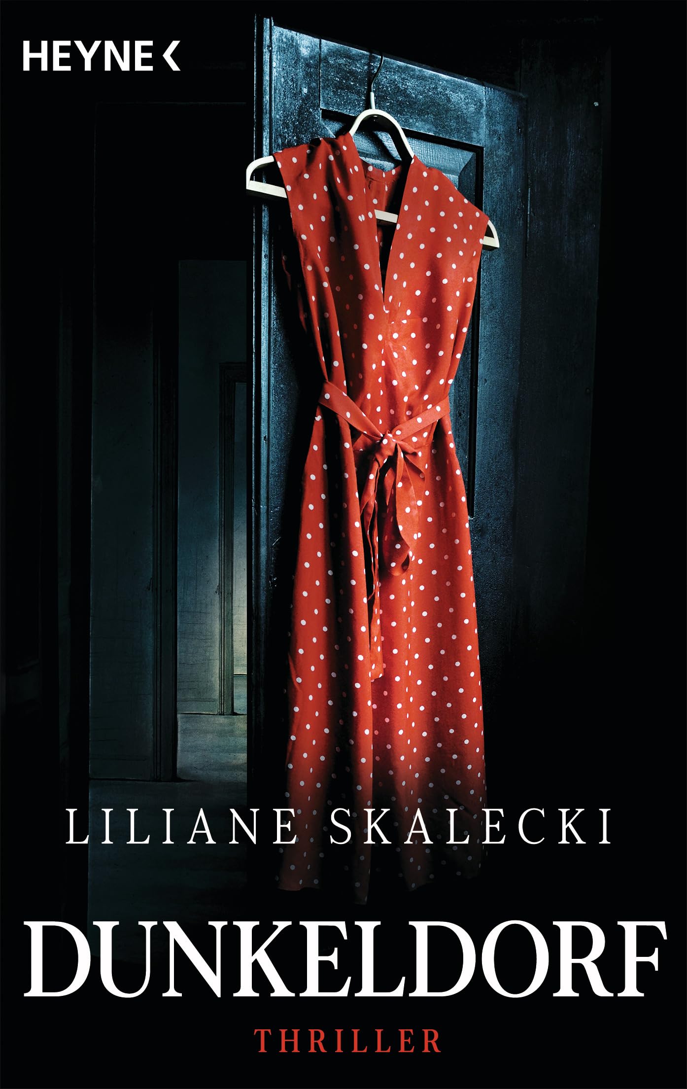 Dunkeldorf: Thriller Contemporary literature