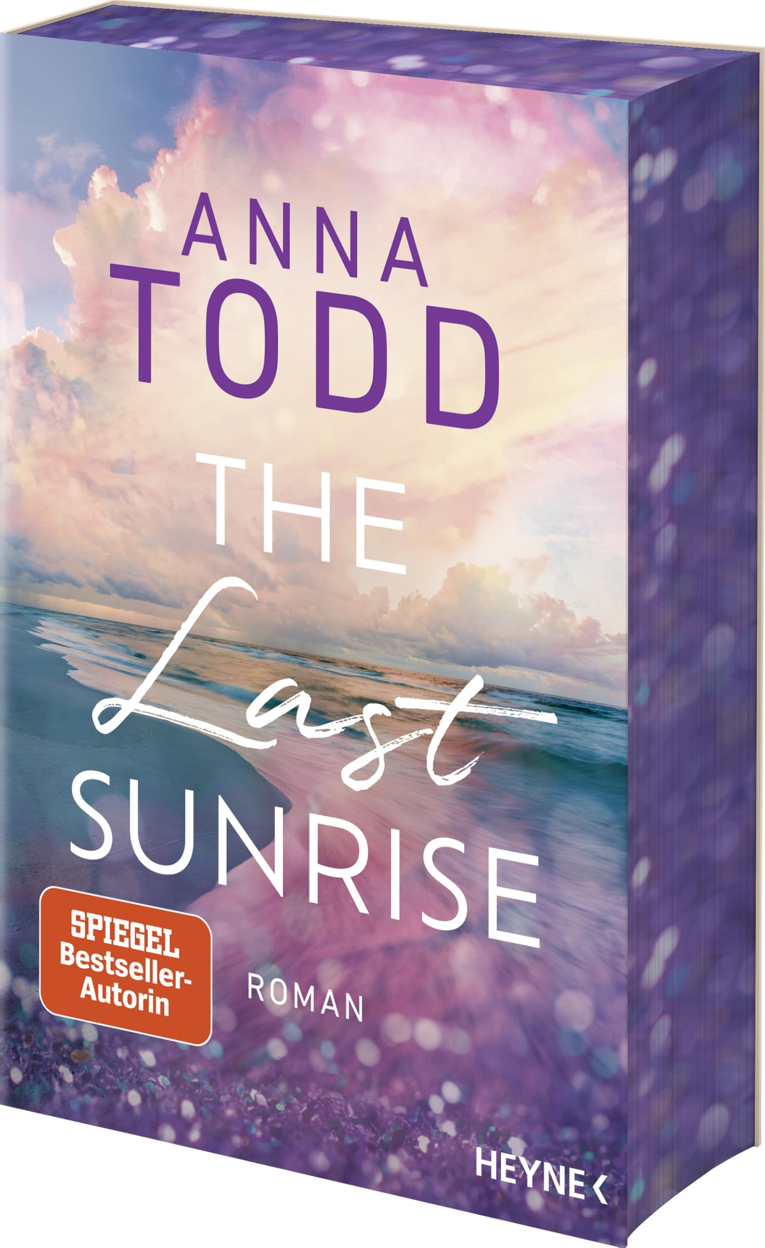 The Last Sunrise Contemporary literature Books