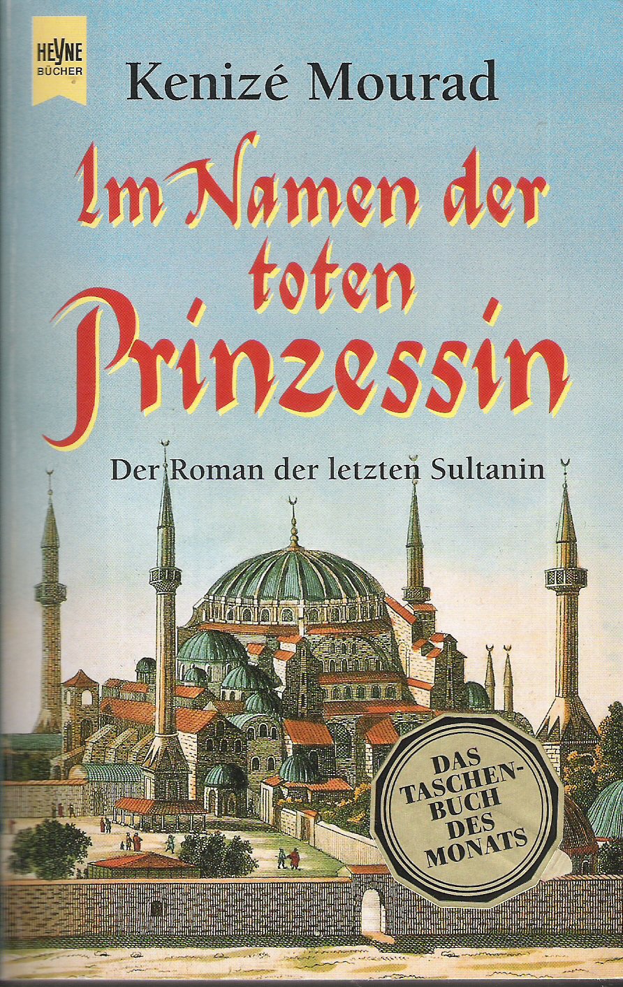 Im Namen der toten Prinzessin. Der Roman der letzten Sultanin. Contemporary literature