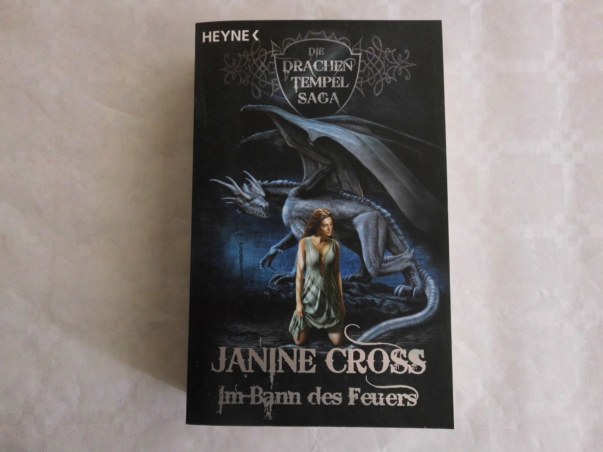 Im Bann des Feuers. Die Drachen-Tempel-Saga 02. Fantasy & Sci-Fi