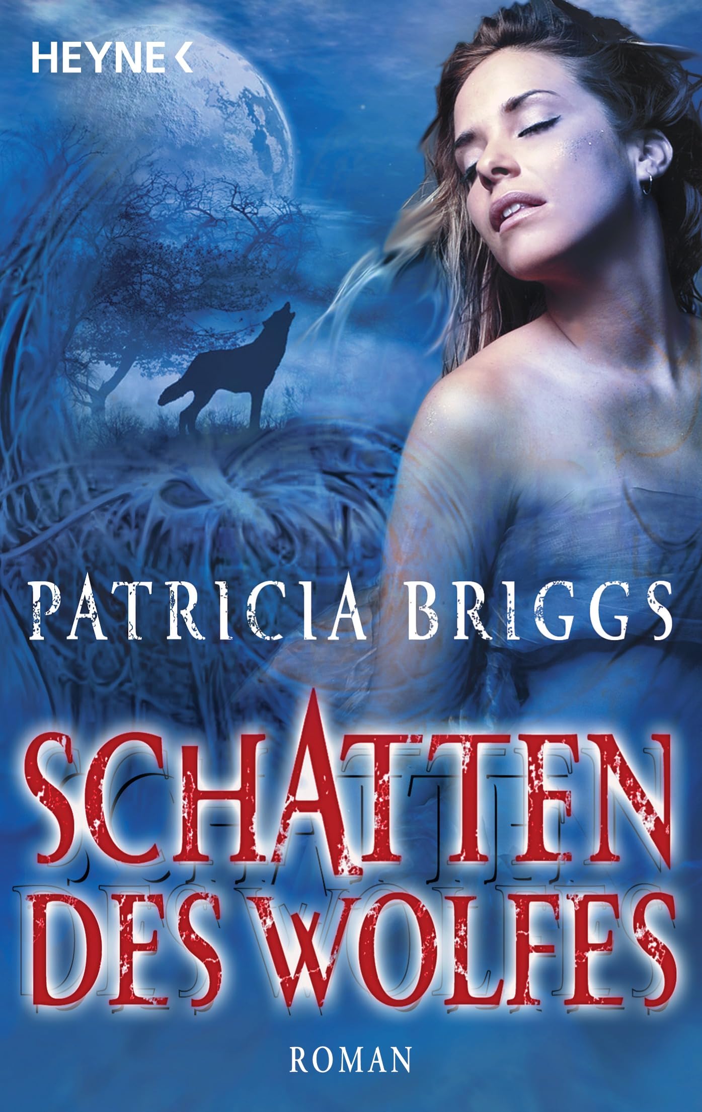 Schatten des Wolfes Contemporary literature Books