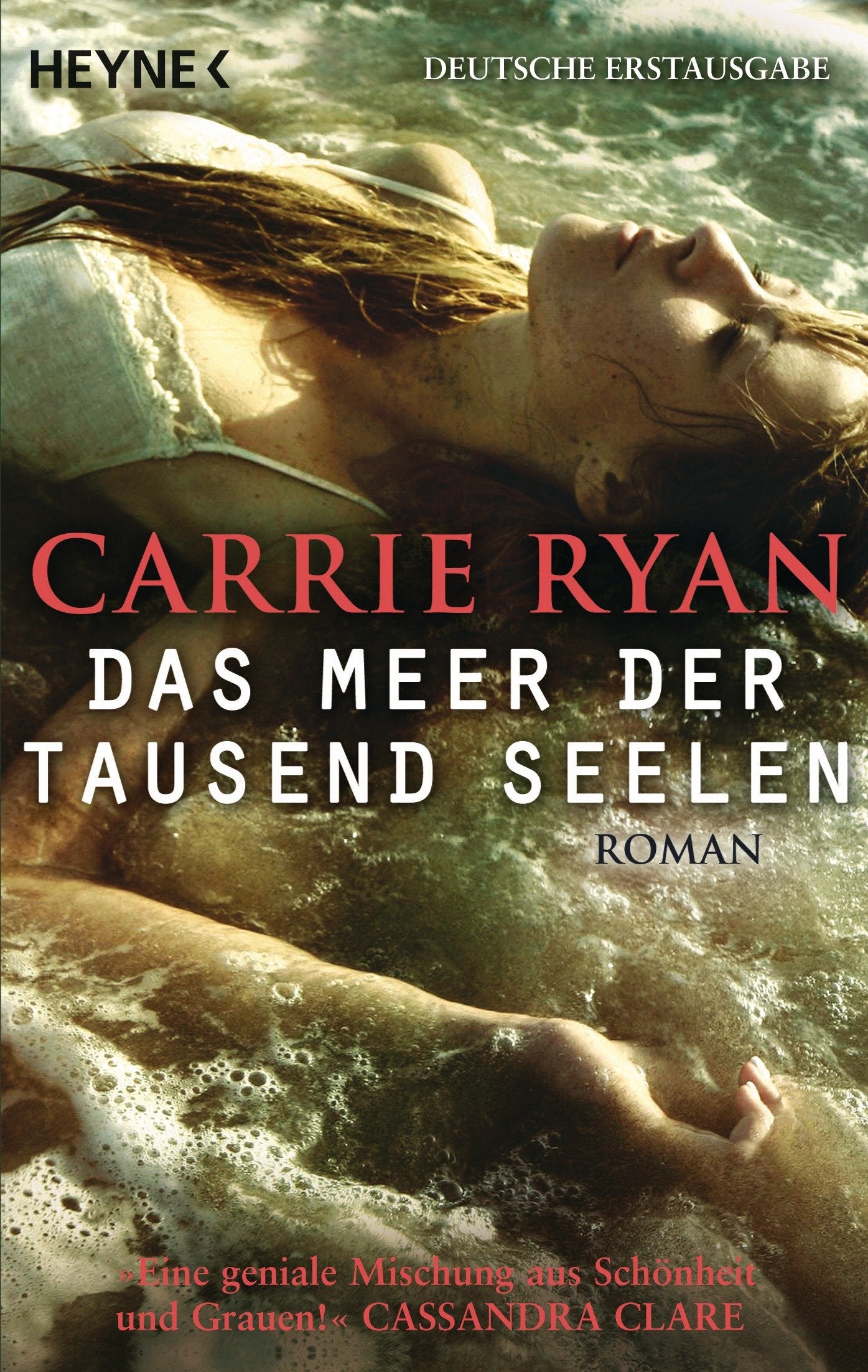 Das Meer der tausend Seelen: Roman Contemporary literature