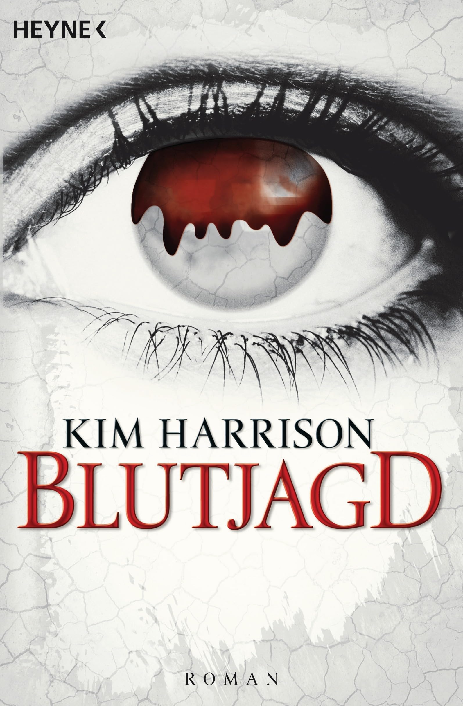 Blutjagd Historical Fiction