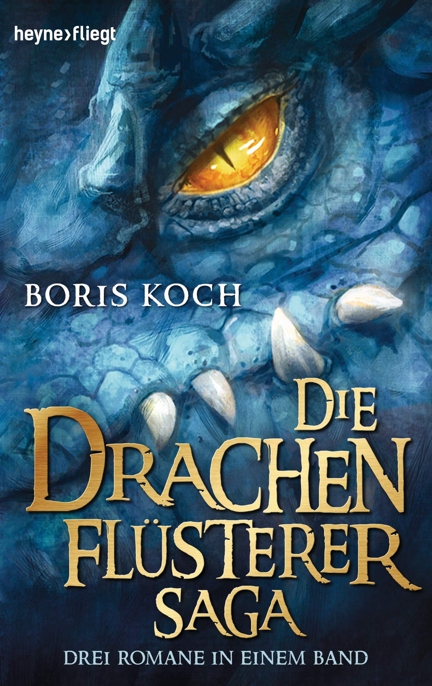 Die Drachenflüsterer-Saga Fiction books for children