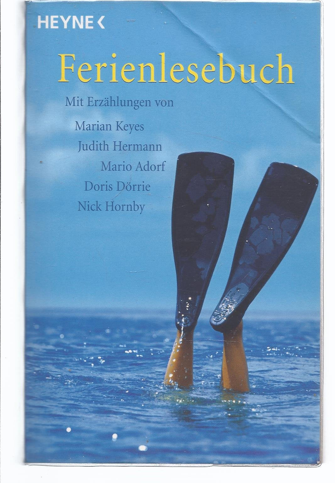 Ferienlesebuch 2005: Mit Erzählungen von Judith Hermann, Marian Keyes, Mario Adorf, Doris Dörrie, Nick Hornby Books