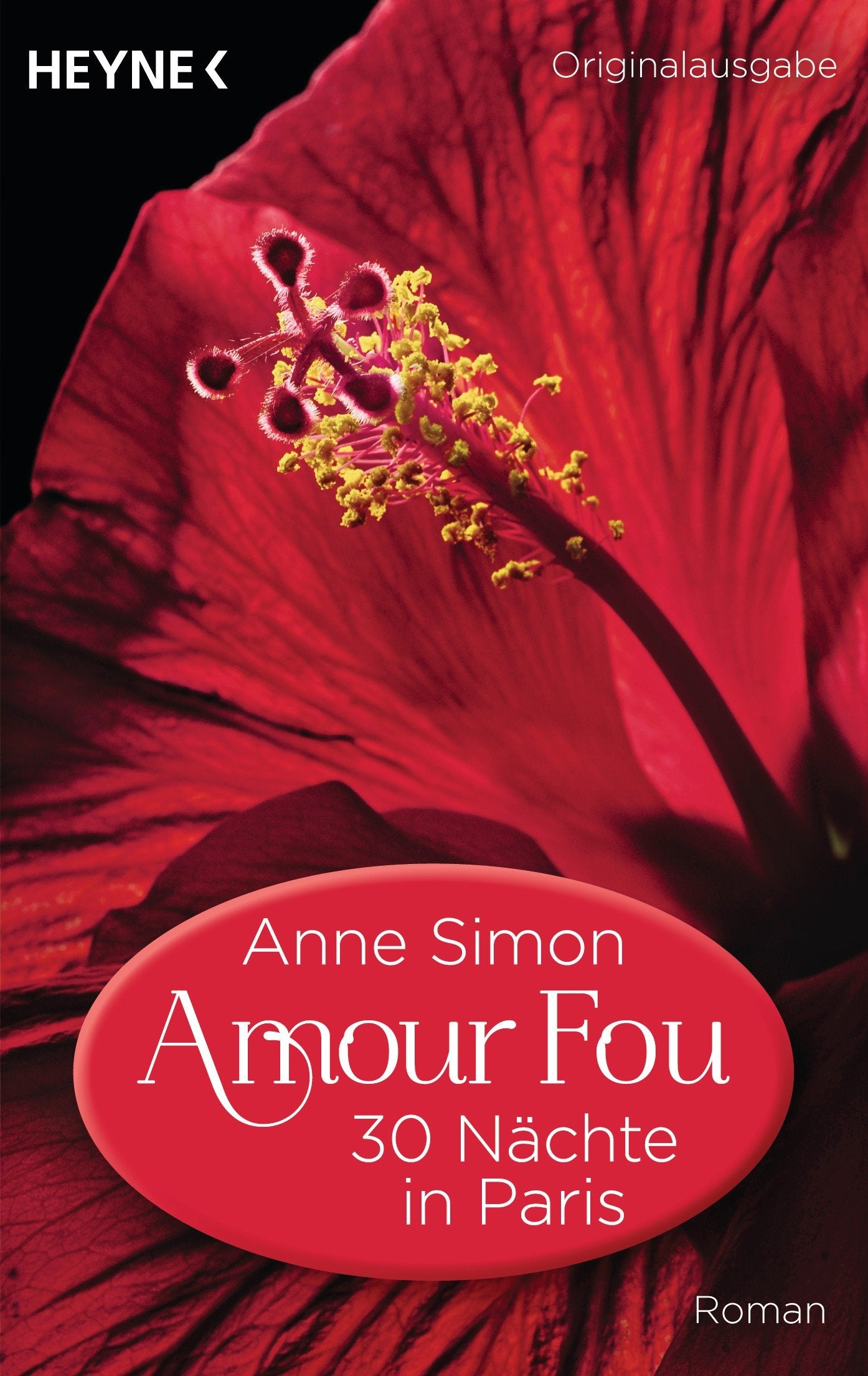 Amour Fou - 30 Nächte in Paris Contemporary literature