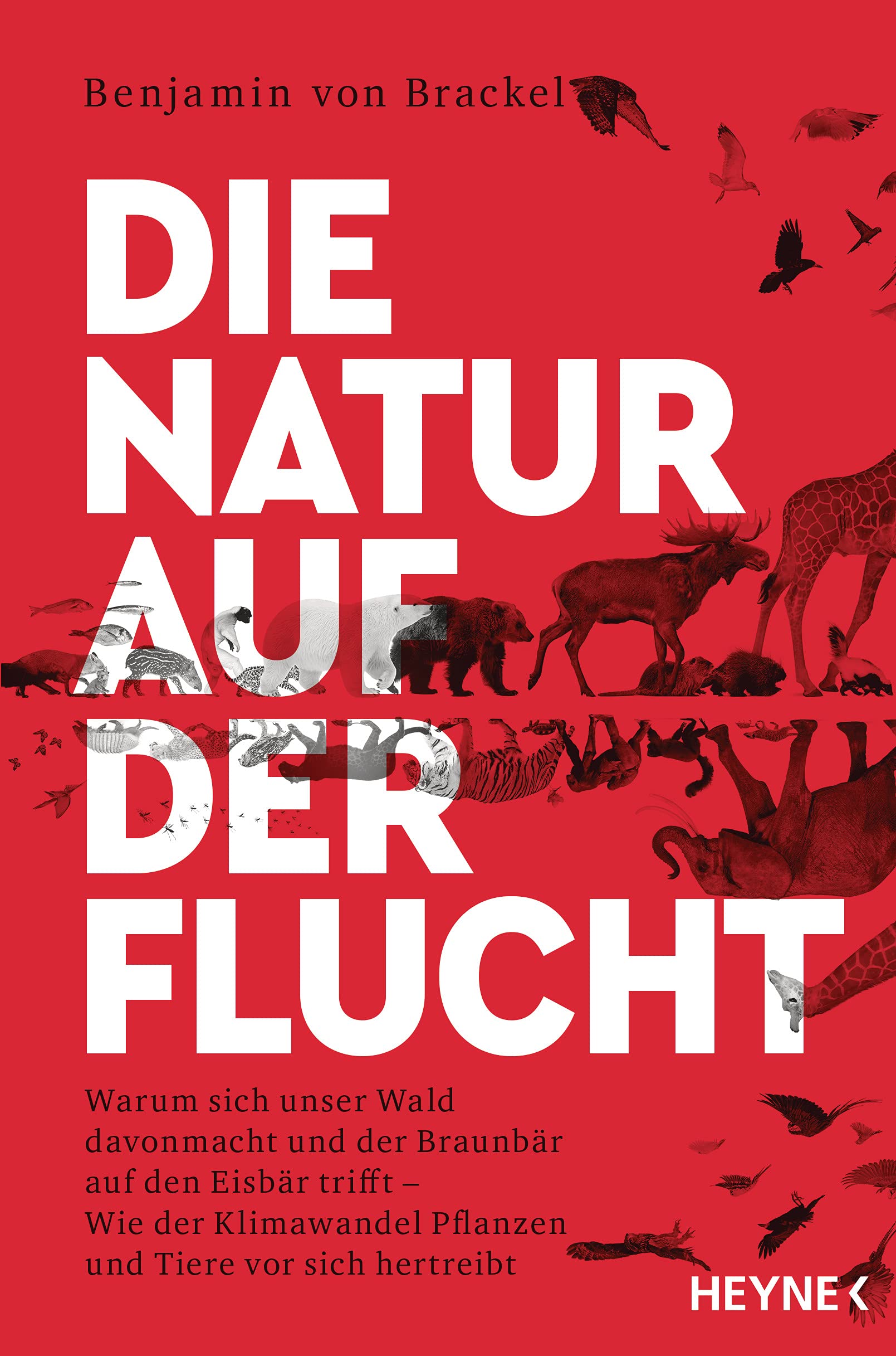 Die Natur auf der Flucht Mathematics