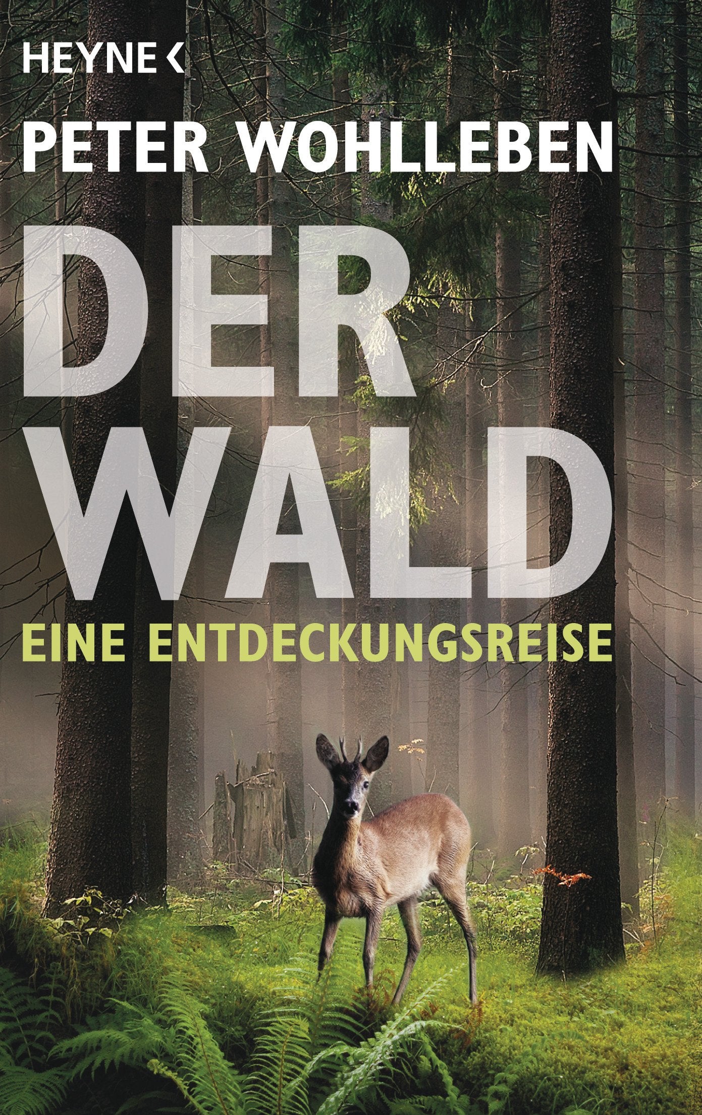 Der Wald Mathematics