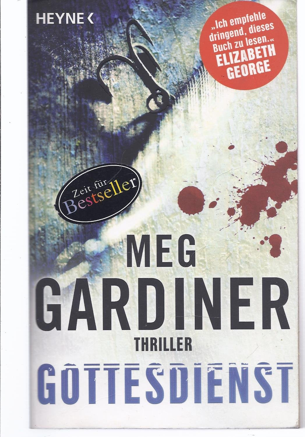 Gottesdienst: Thriller (Evan Delaney, Band 3) Contemporary literature