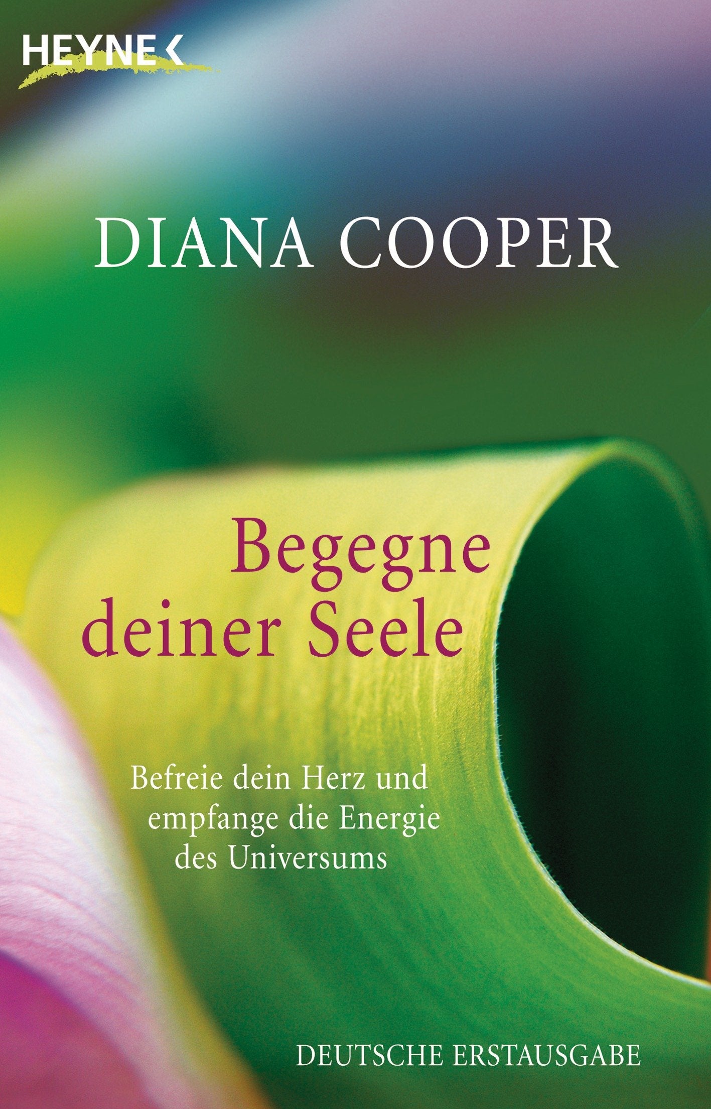 Begegne deiner Seele Psychology Books