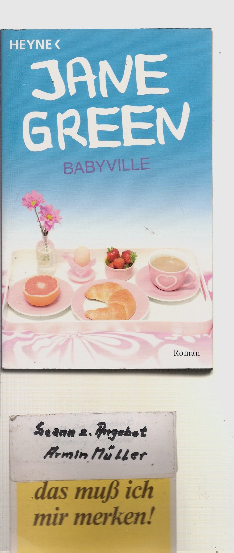 Babyville: Roman Contemporary literature