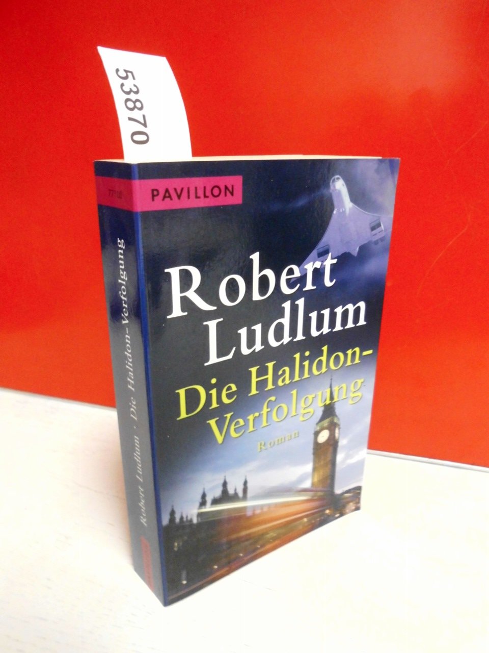 Die Halidon-Verfolgung: Roman Contemporary literature