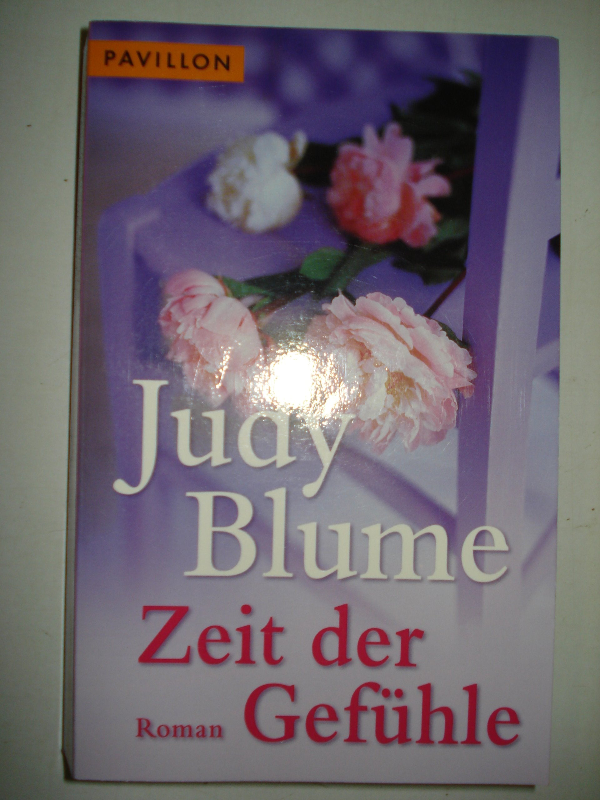 Zeit der Gefühle: Roman Contemporary literature