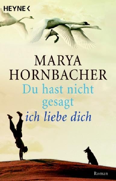 Du hast nicht gesagt, ich liebe dich: Roman Contemporary literature