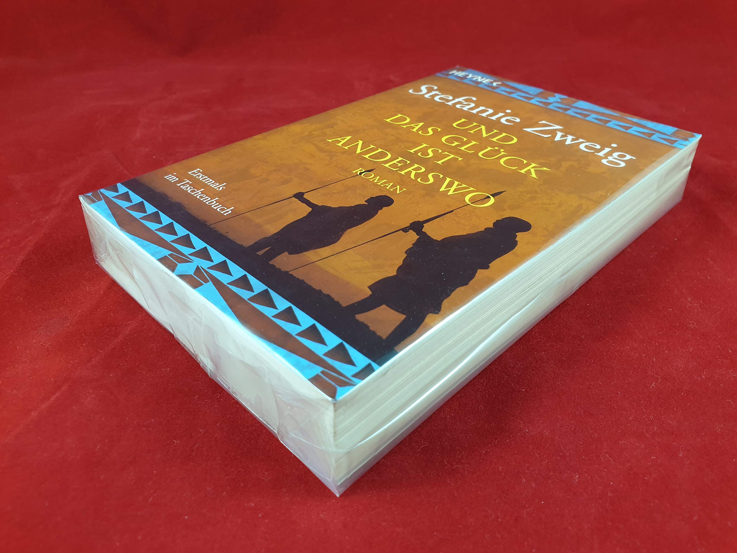 Und das Glück ist anderswo: Roman Contemporary literature