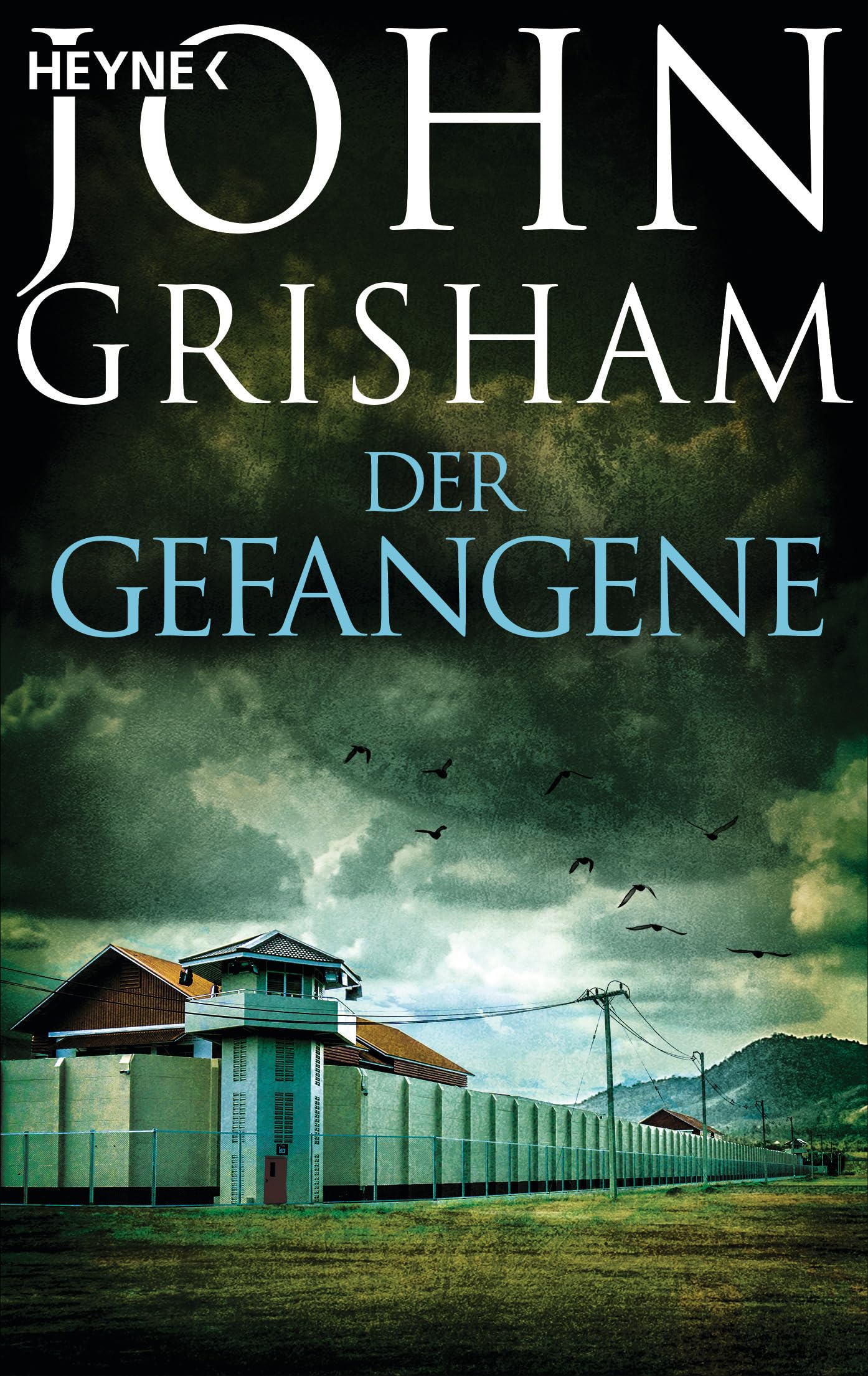 Der Gefangene Contemporary literature Books