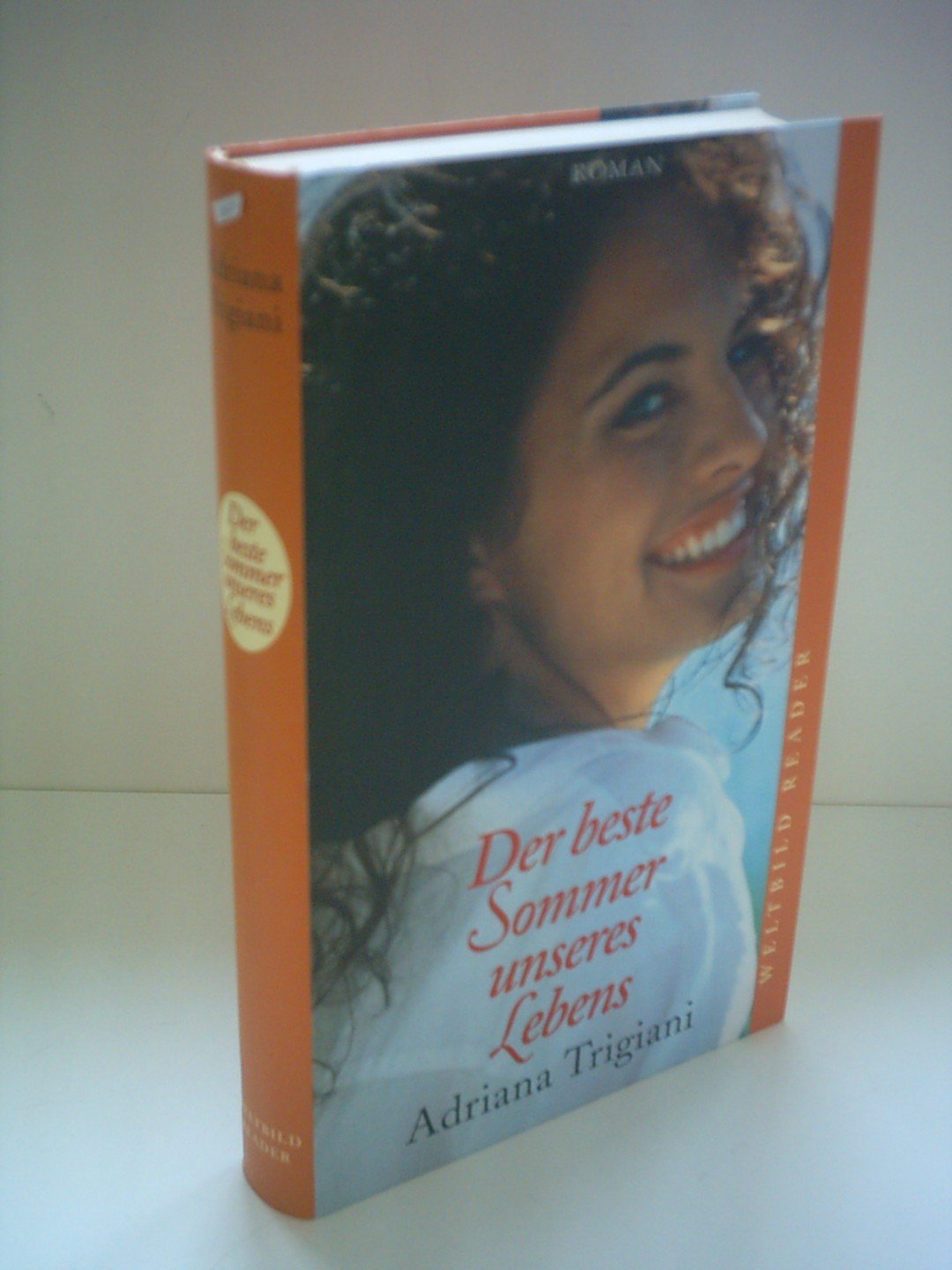Der beste Sommer unseres Lebens Contemporary literature