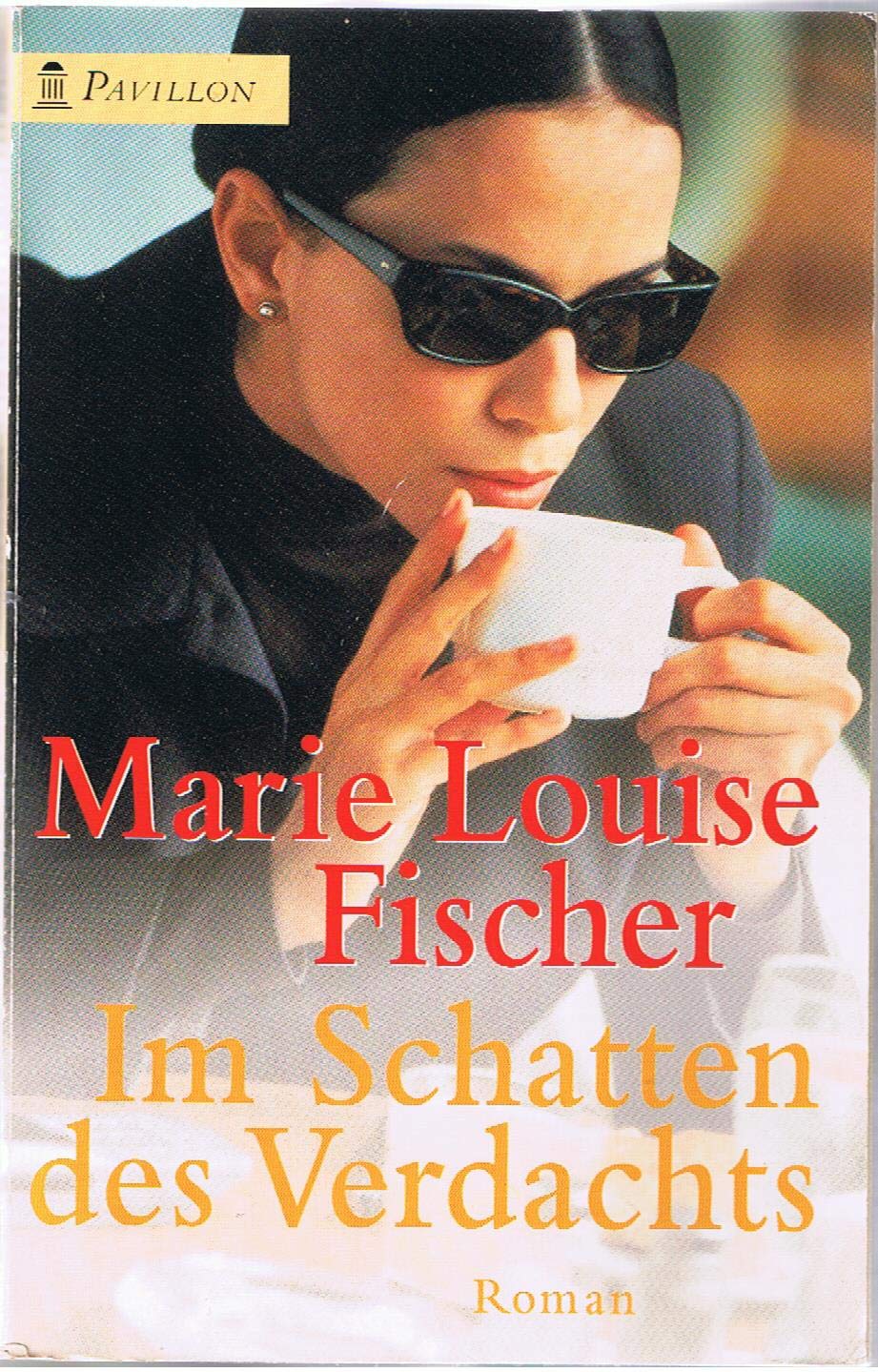 Im Schatten des Verdachts Contemporary literature