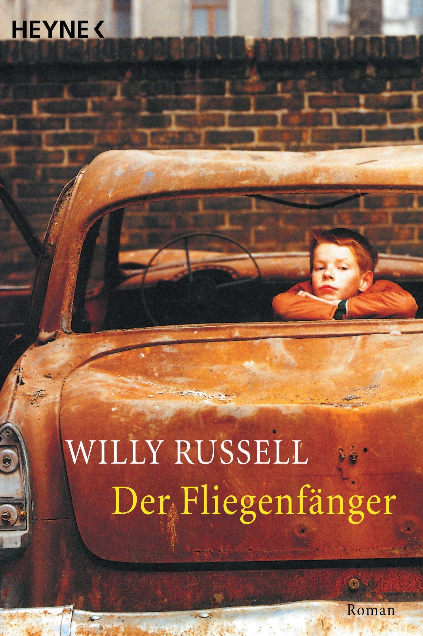 Der Fliegenfänger Contemporary literature Books