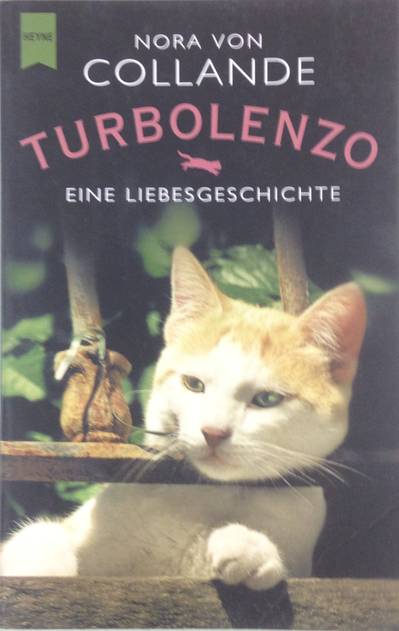 Turbolenzo: Eine Liebesgeschichte Contemporary literature
