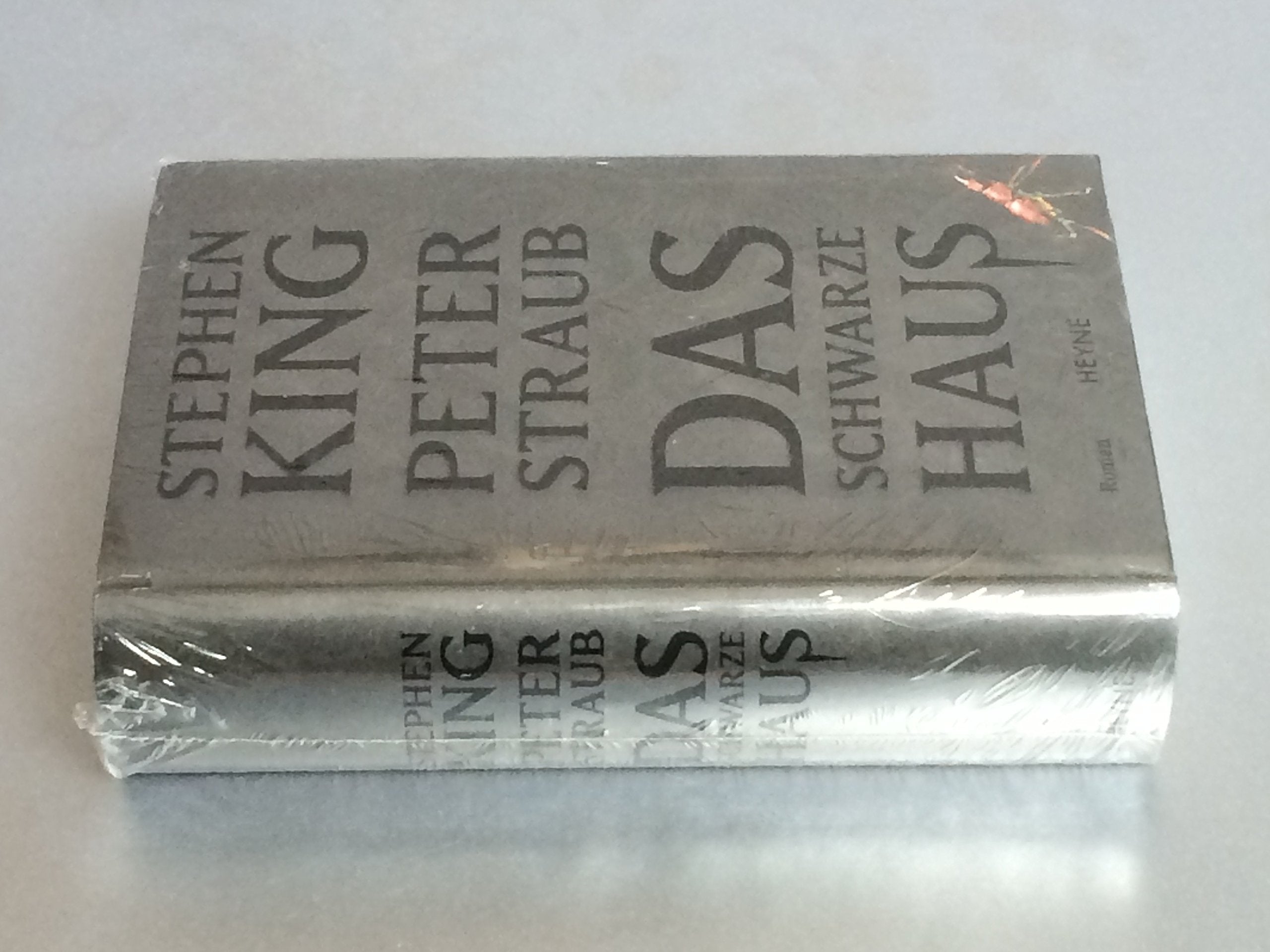 Das schwarze Haus: Roman Horror & Mystery