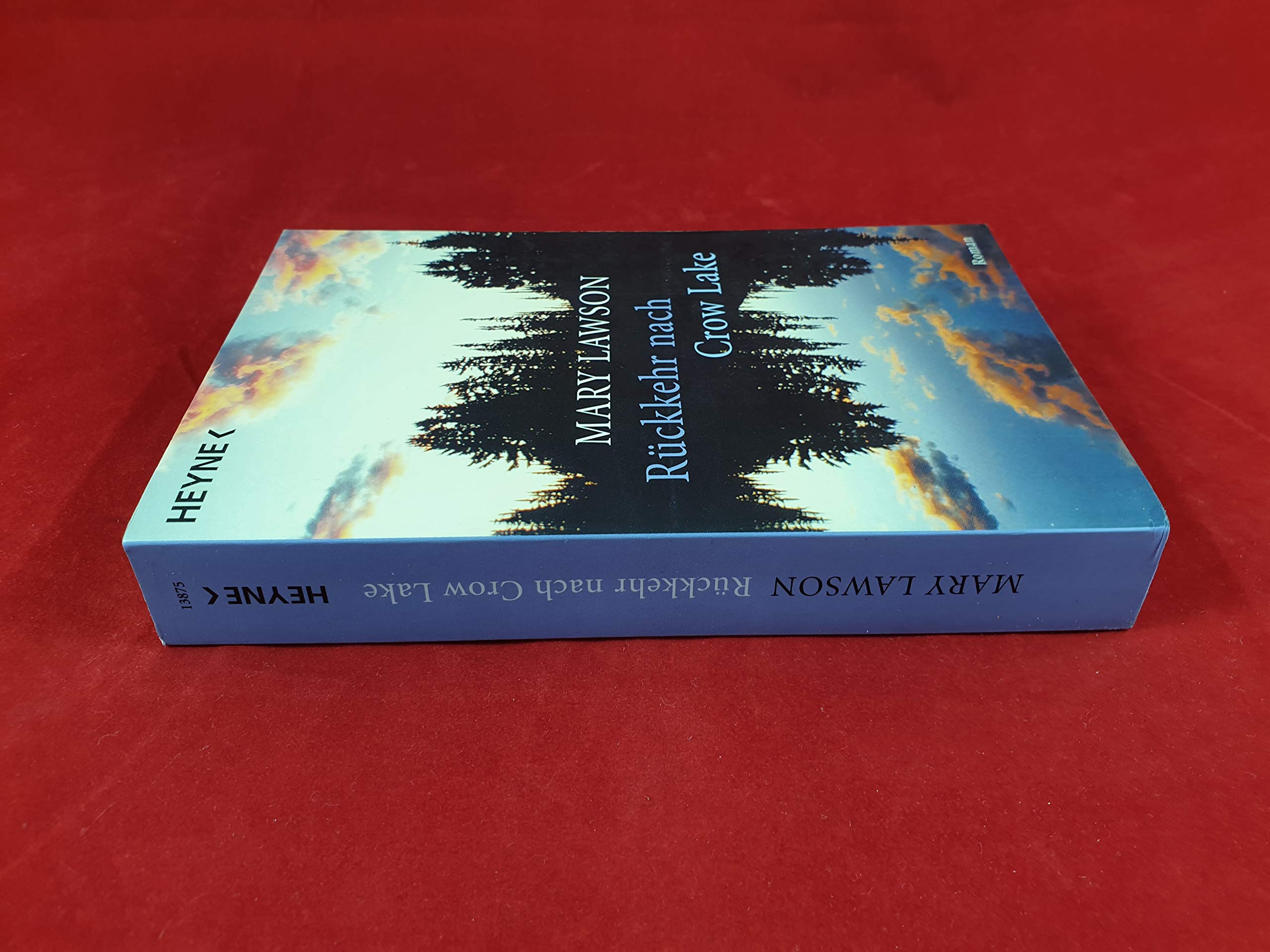 Rückkehr nach Crow Lake: Roman Contemporary literature