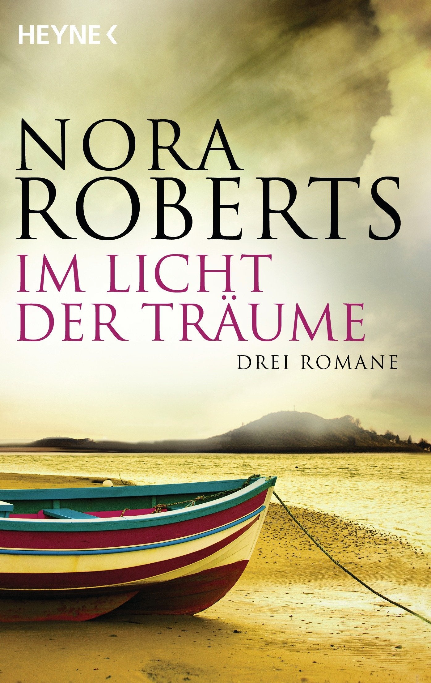 Im Licht der Träume Contemporary literature Books