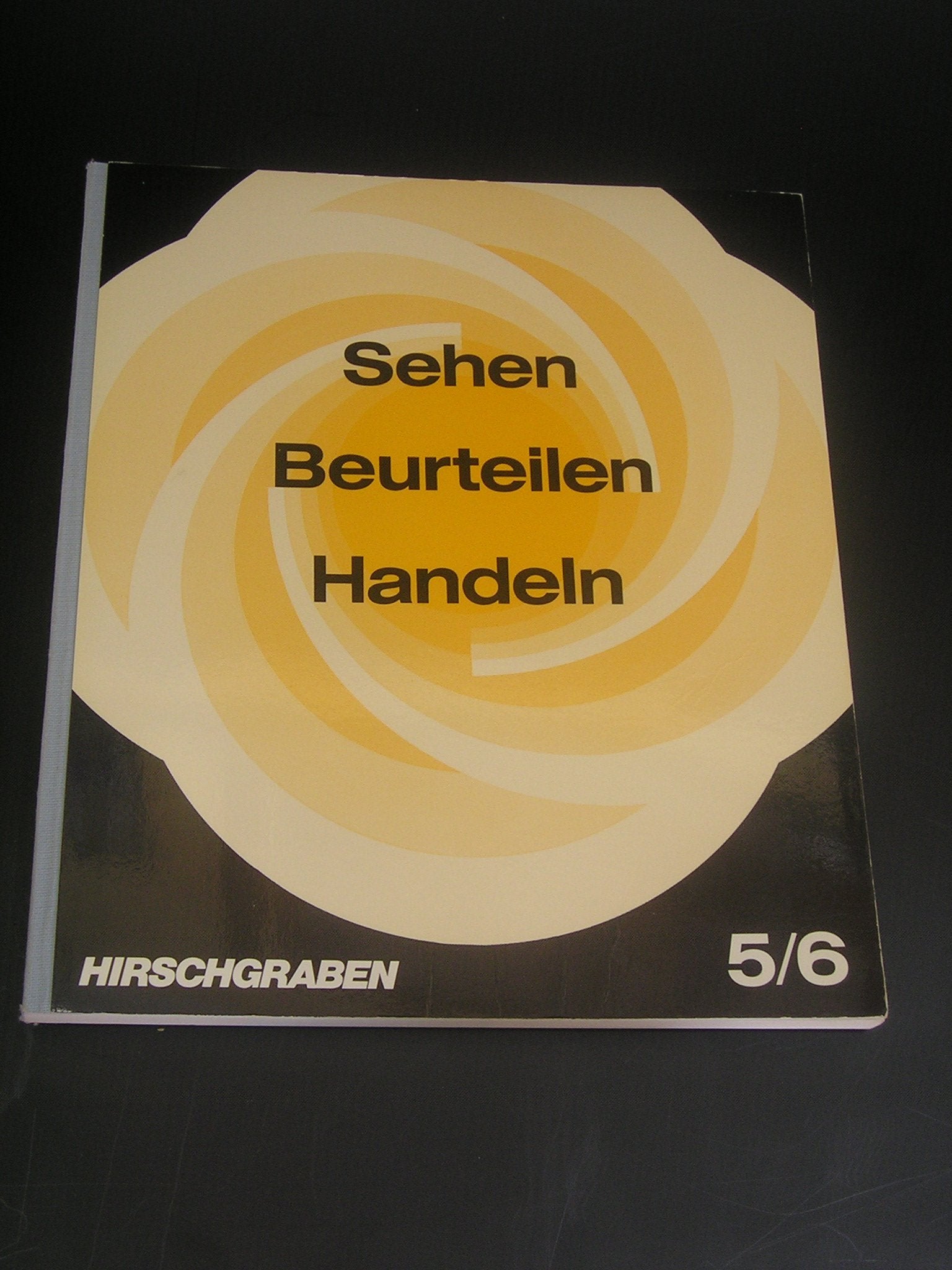 sehen - beurteilen - handeln 5/6 (sehen-beurteilen-handeln) Books
