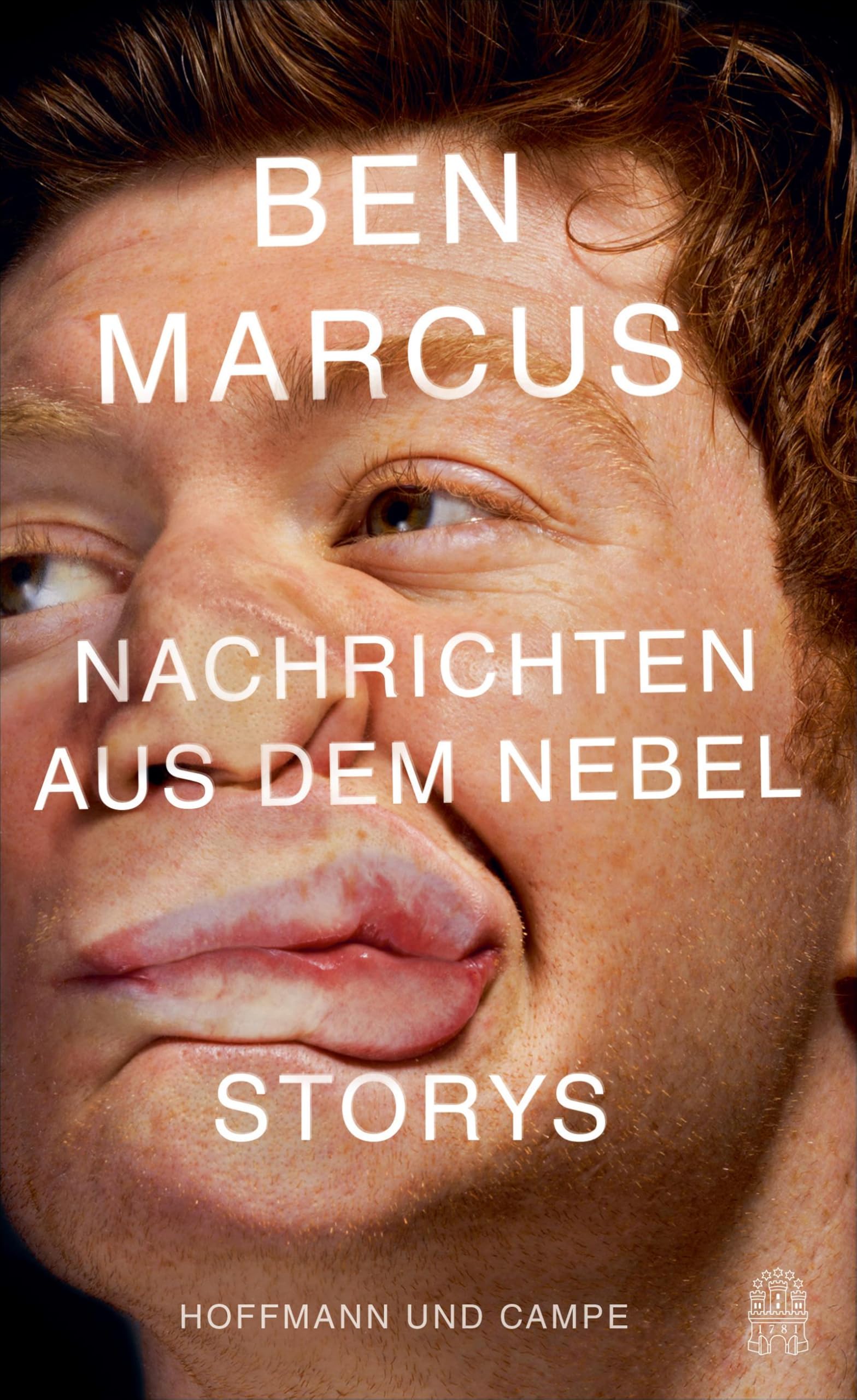 Nachrichten aus dem Nebel Essays & Short Stories