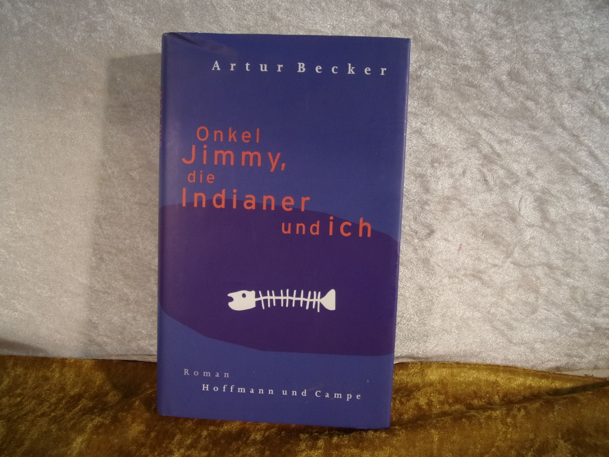 Onkel Jimmy, die Indianer und ich Contemporary literature