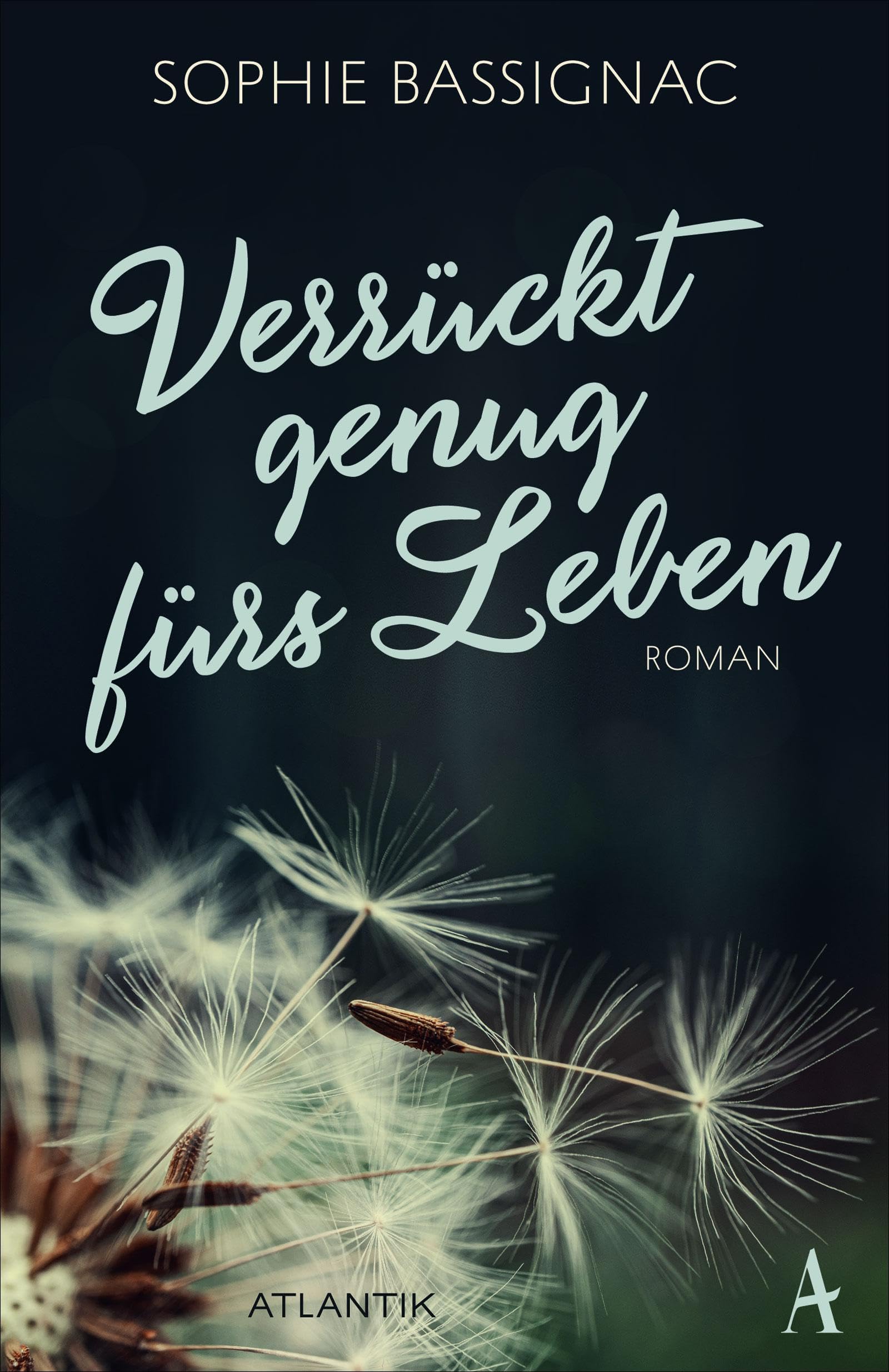 Verrückt genug fürs Leben: Roman Contemporary literature