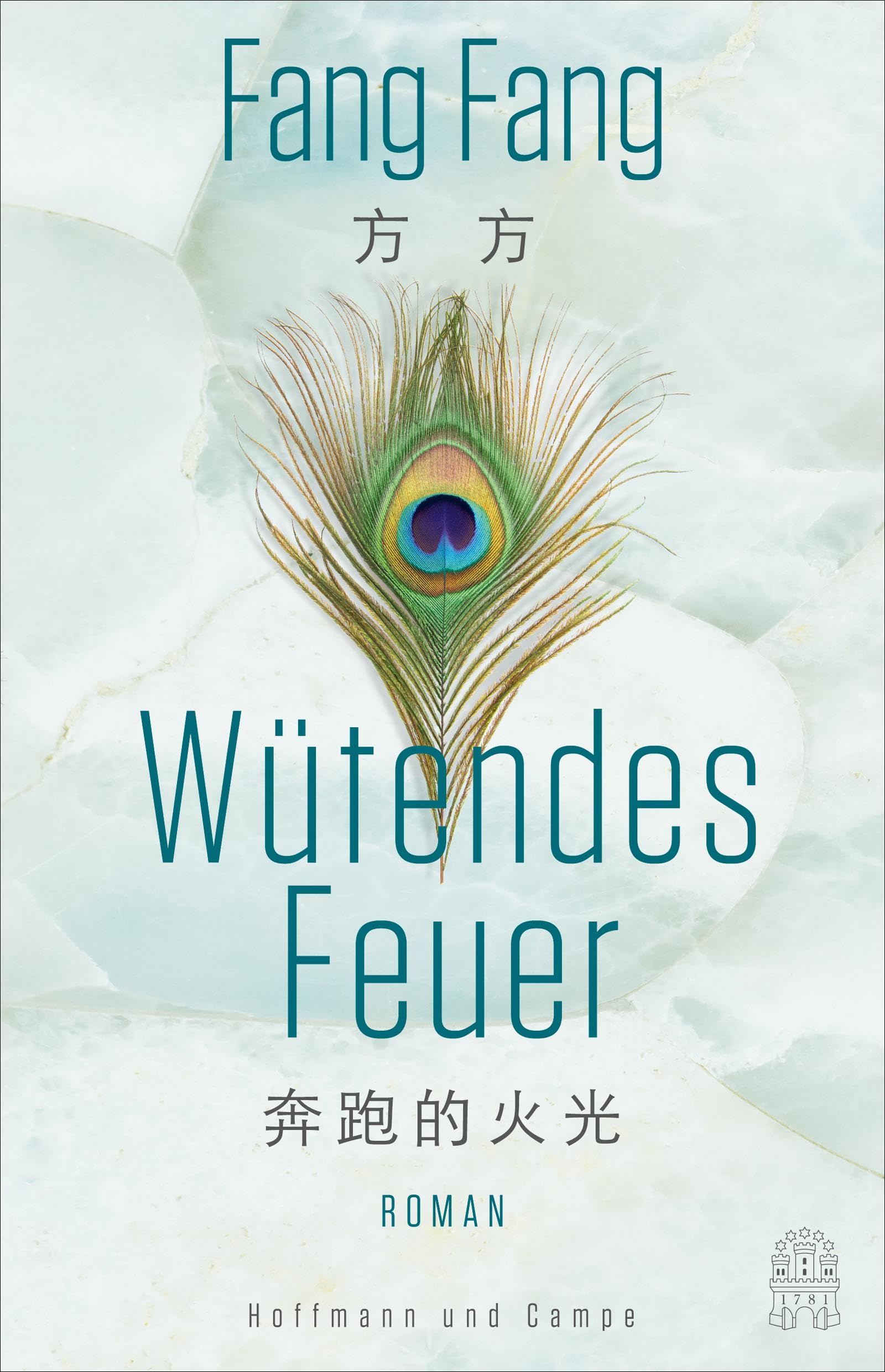 Wütendes Feuer Contemporary literature Books