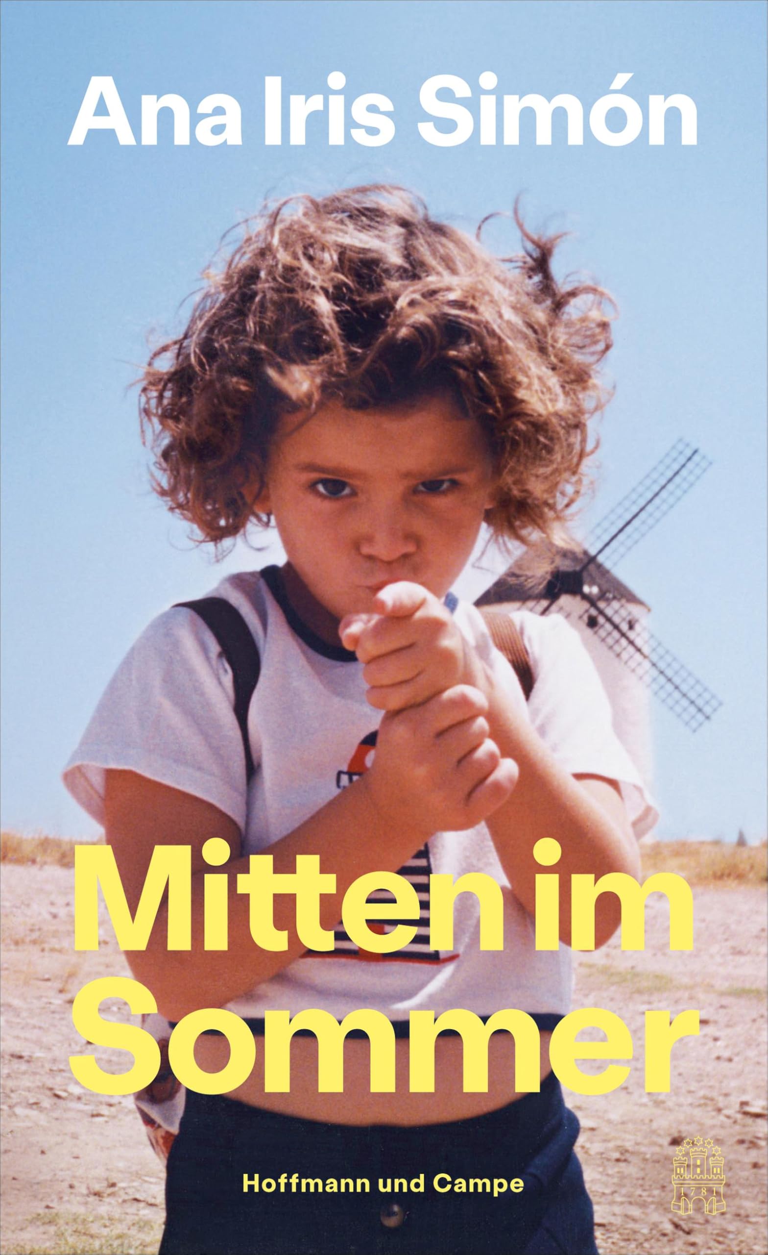 Mitten im Sommer Contemporary literature Books