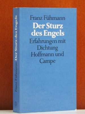 Der Sturz des Engels: Erfahrungen m. Dichtung Poetry