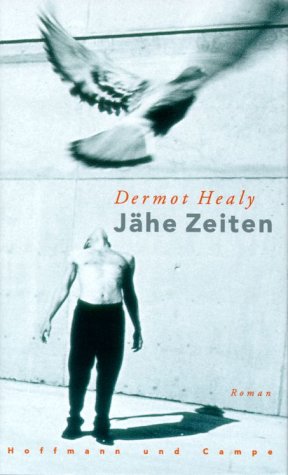 Jähe Zeiten: Roman: Roman. Aus d. Engl. v. Hans-Christian Oeser Contemporary literature Books