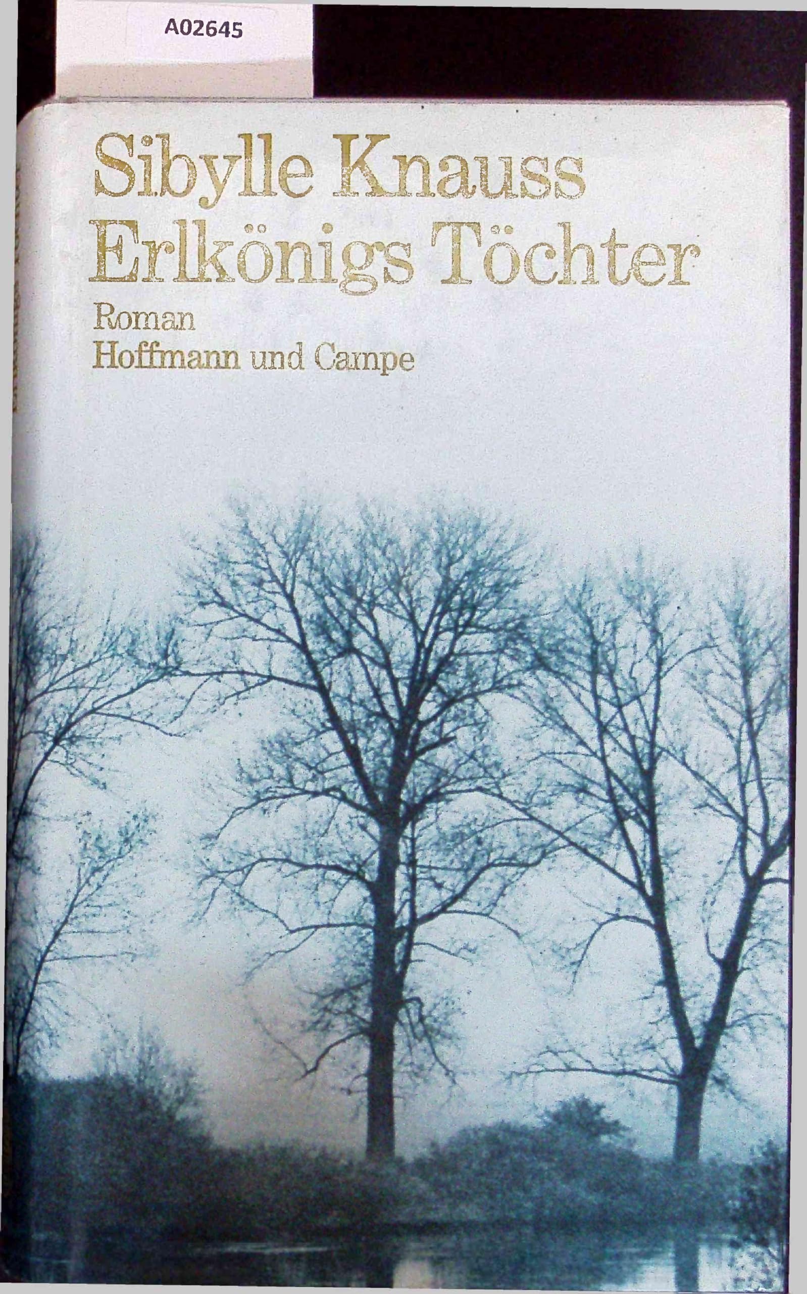 Erlkönigs Töchter: Roman book