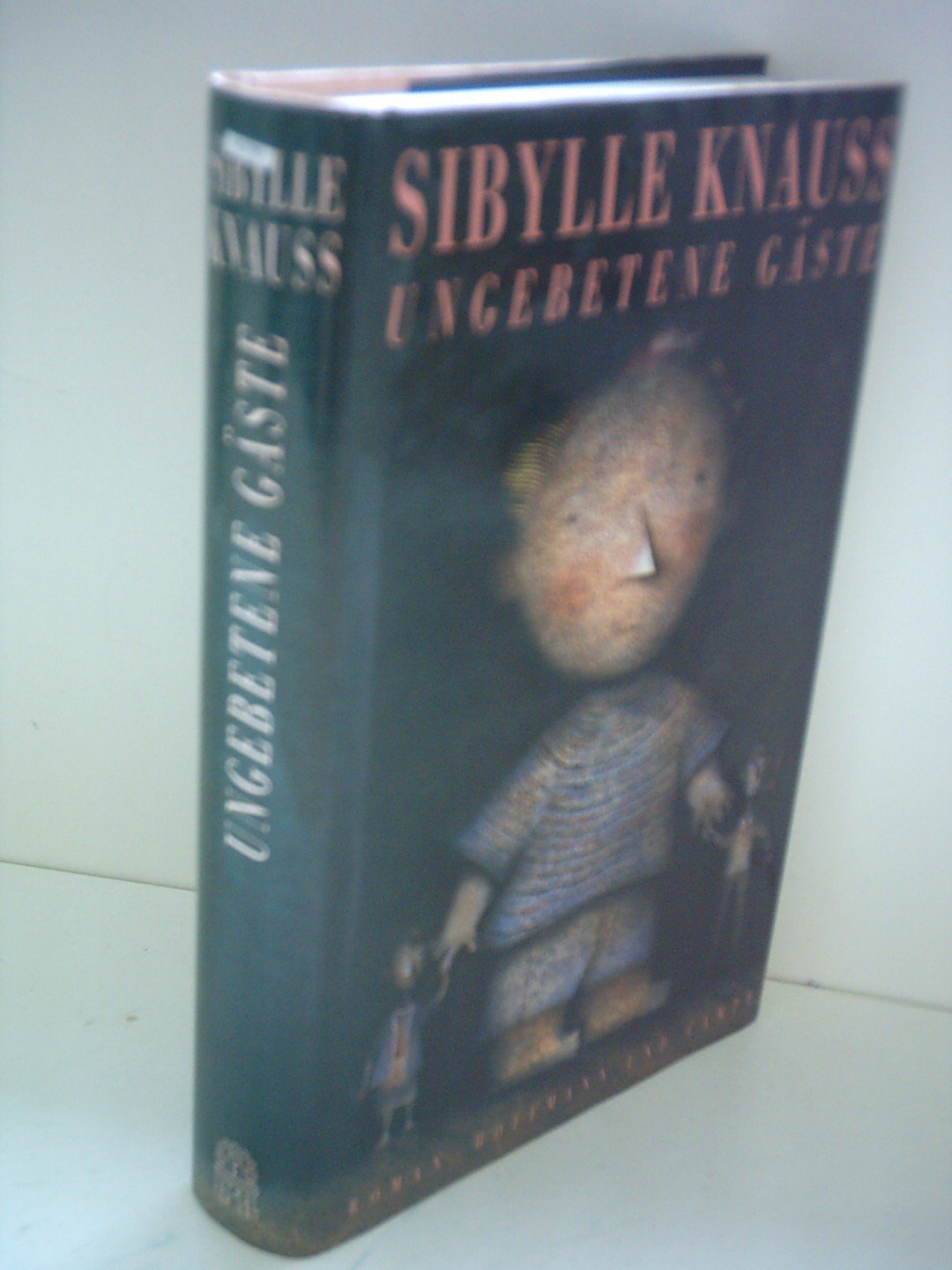 Ungebetene Gäste: Roman Contemporary literature